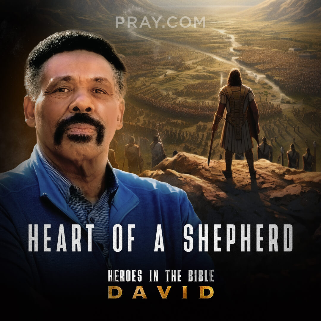 cover of episode Chapter 16: Heart of a Shepherd