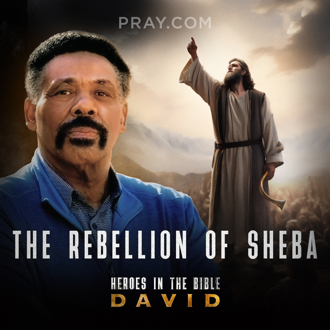 cover of episode Chapter 28: The Rebellion of Sheba