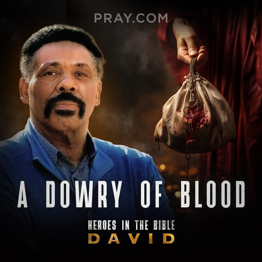 cover of episode Chapter 07: A Dowry of Blood