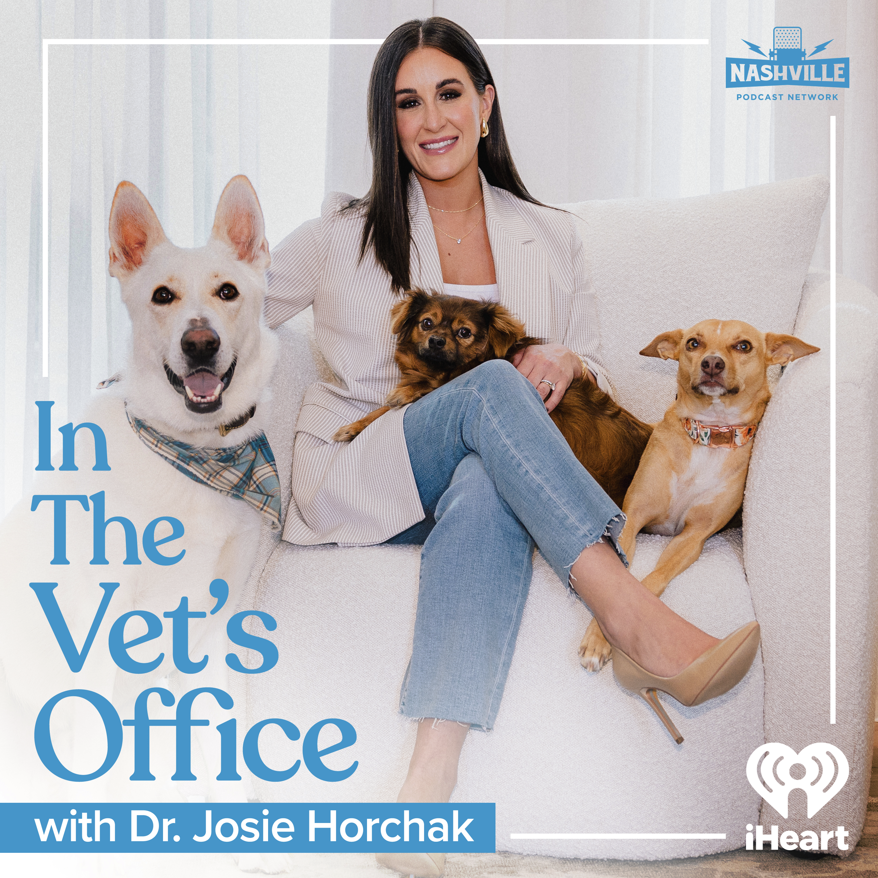 Justin Anderson: Neuticles, Doggie Drugs & the Realities of Pet Parenting