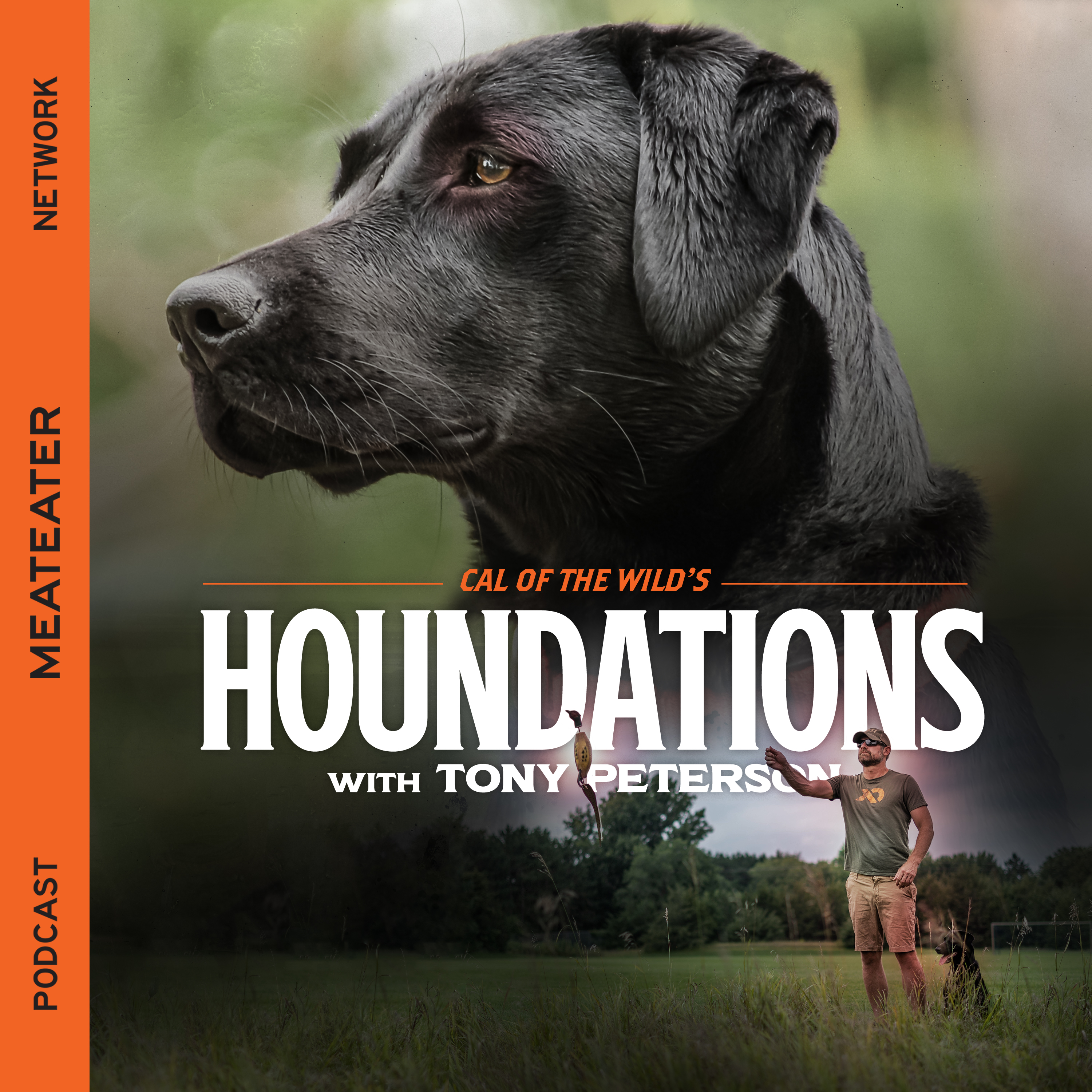 Ep. 339: Houndations - The Benefits of Not-So-Serious Dog Training