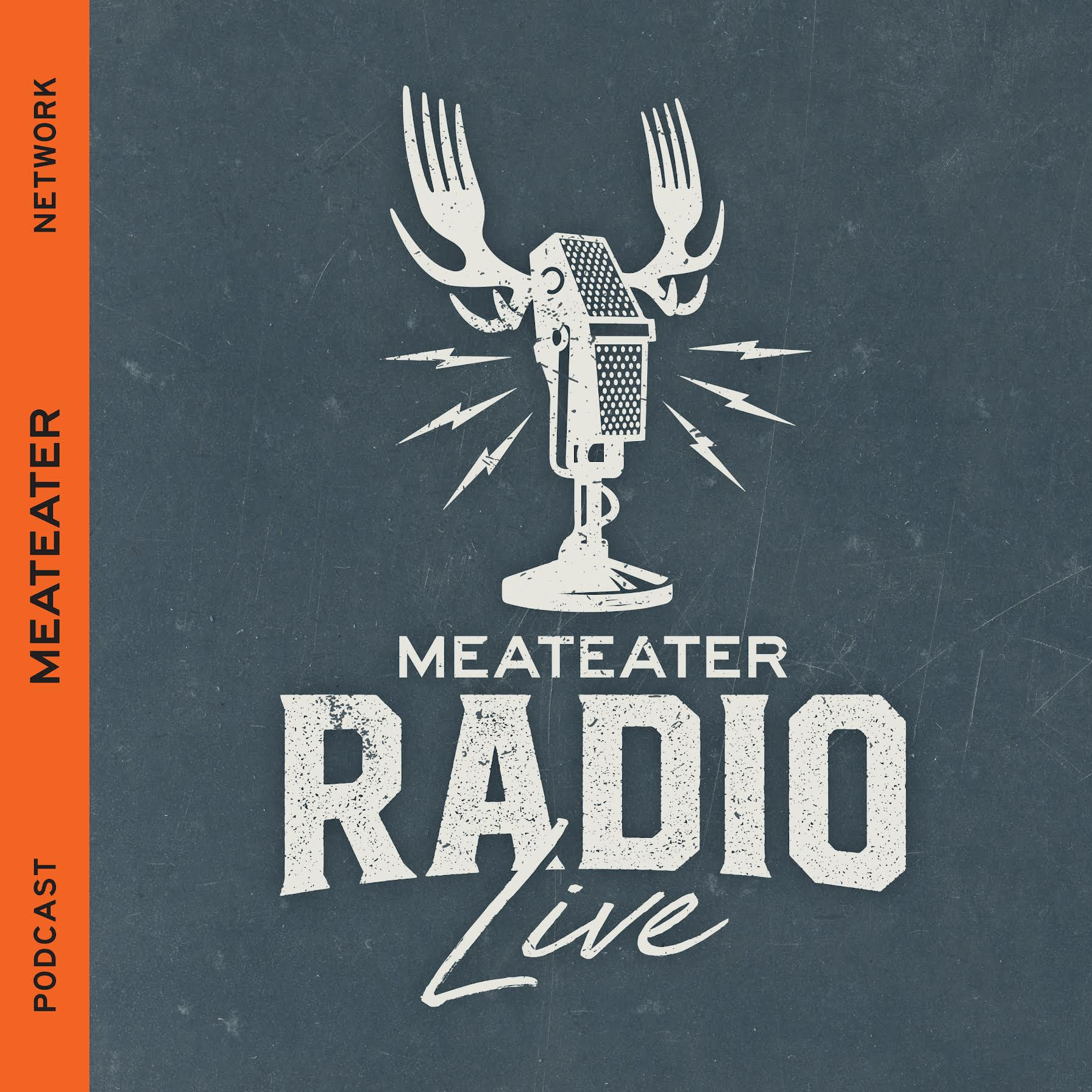 cover of episode Ep. 613: MeatEater Radio Live! Alligator Gar, a Migration Report, and How to Brown Your Meat