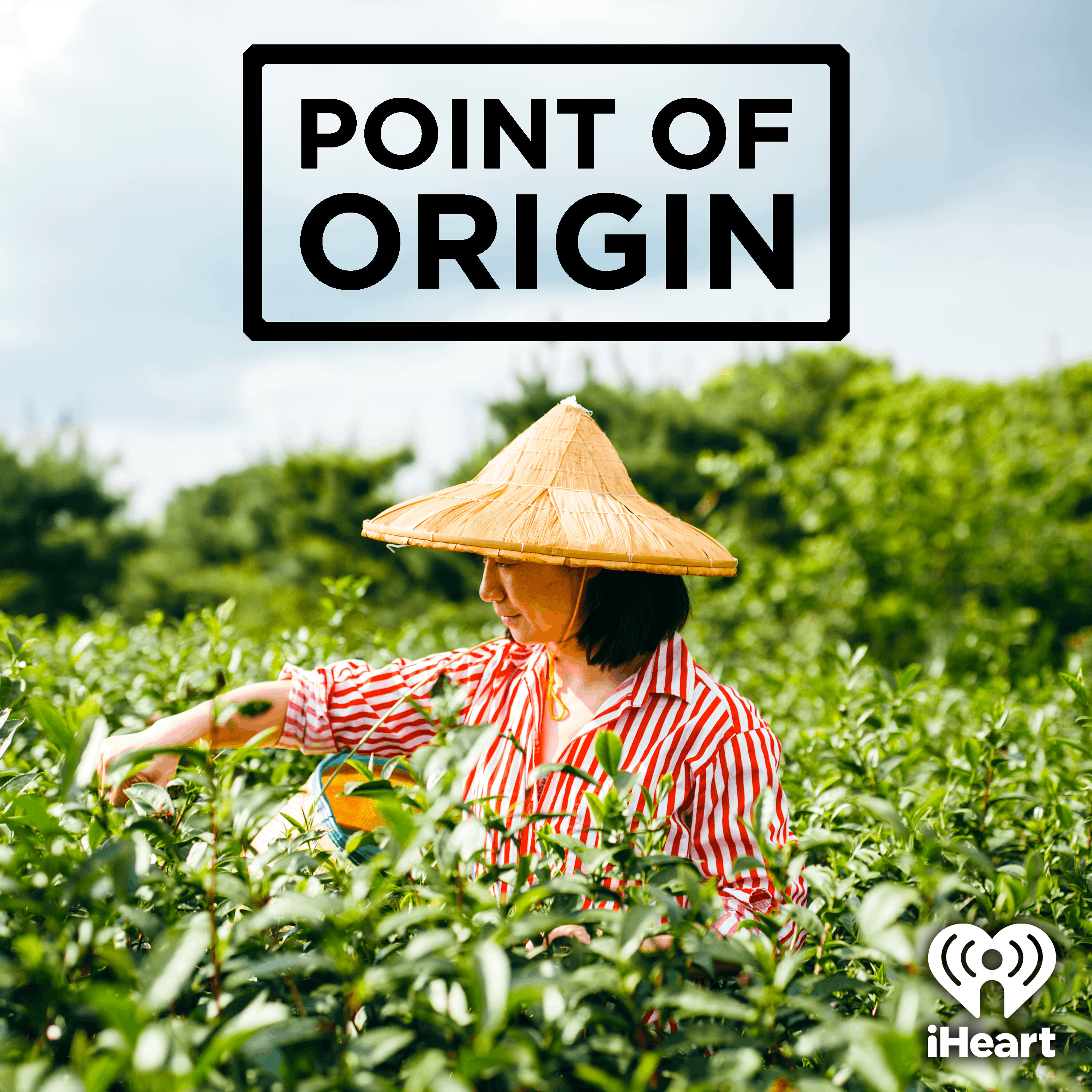 Introducing: Point of Origin