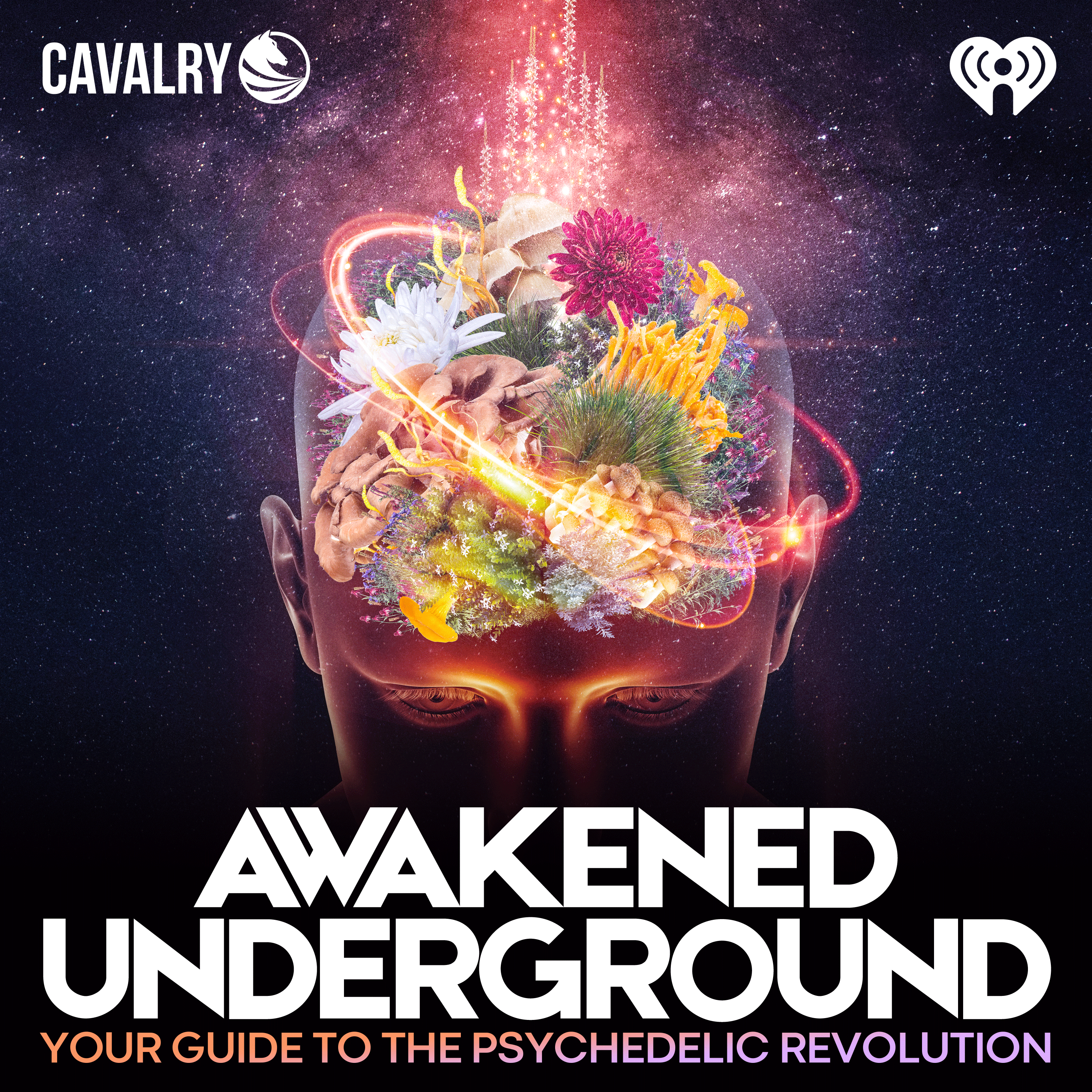 Introducing: Awakened Underground