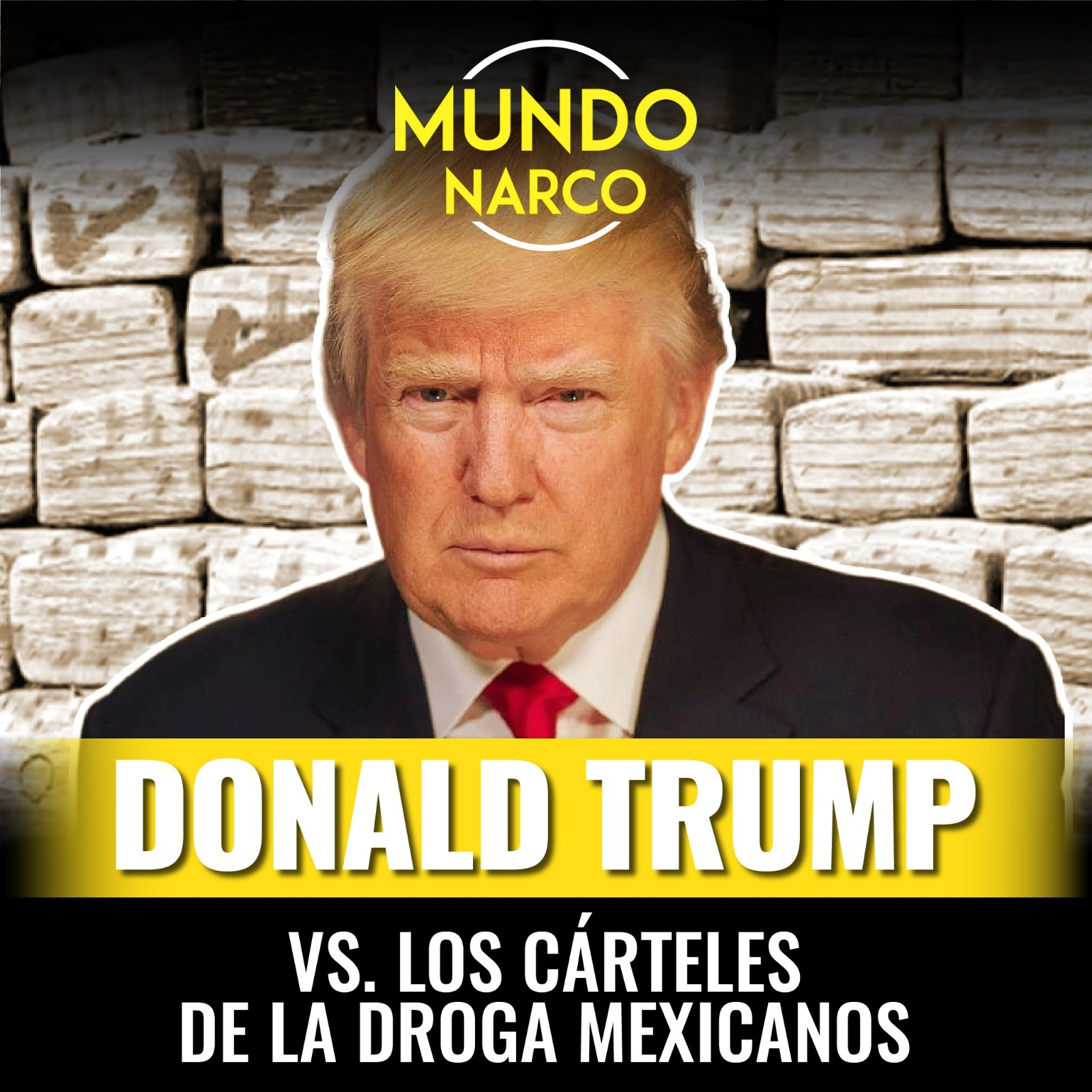 Episodio #98 Donald Trump vs. los cárteles de la droga mexicanos