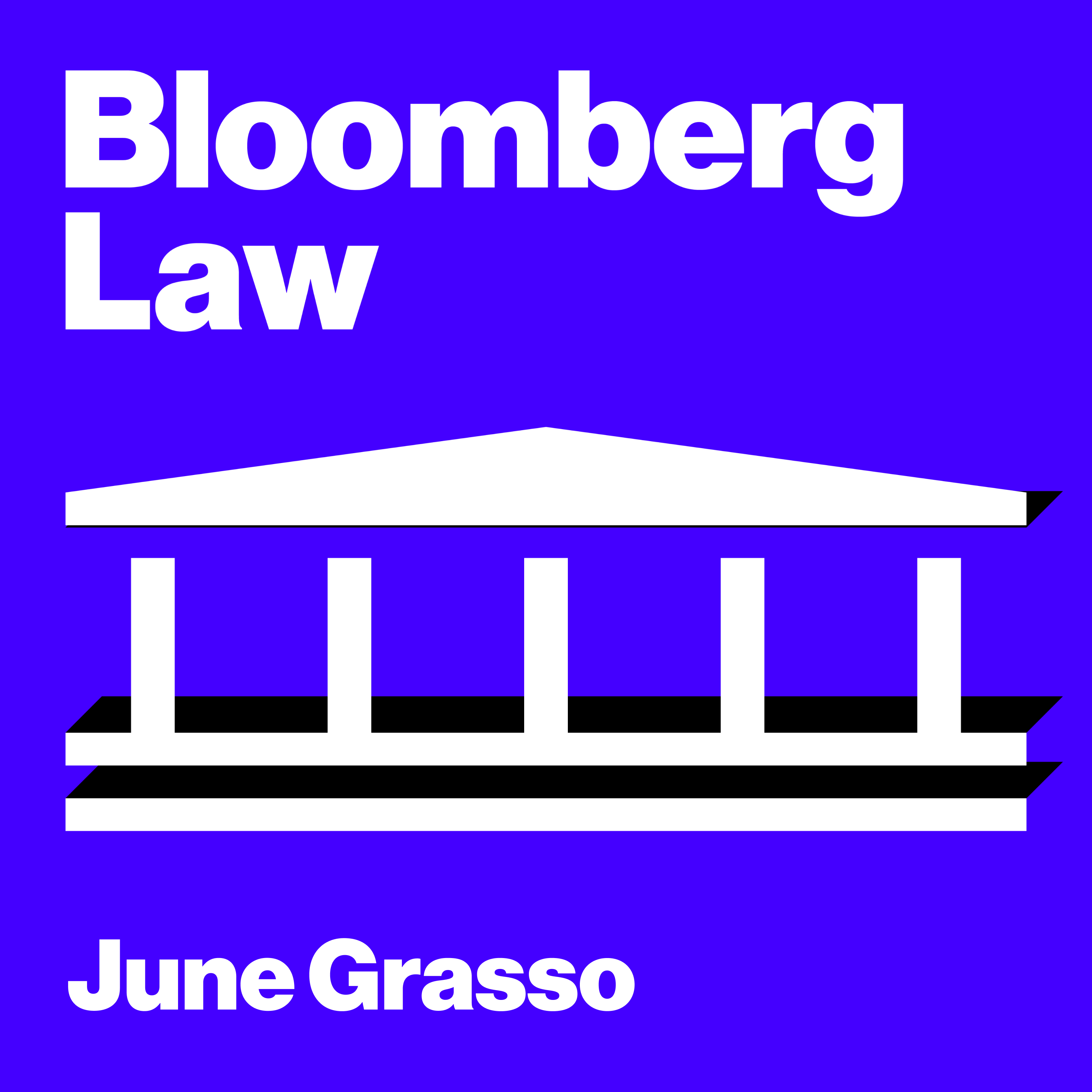 Bloomberg Law Brief: Whitney on Copyright Case (Audio)