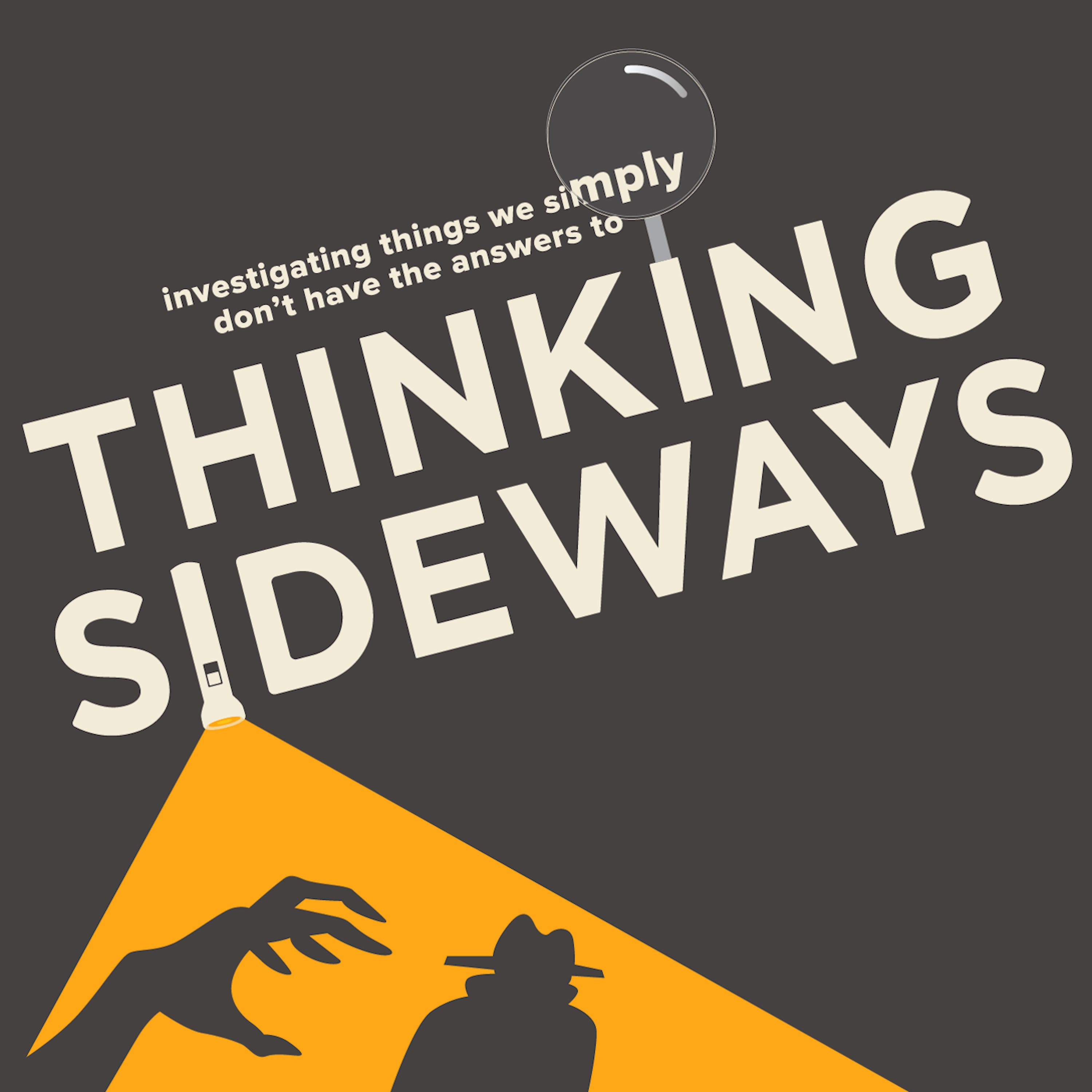 Thinking Sideways: Michael Meiring—Treasure Hunter or Terrorist?