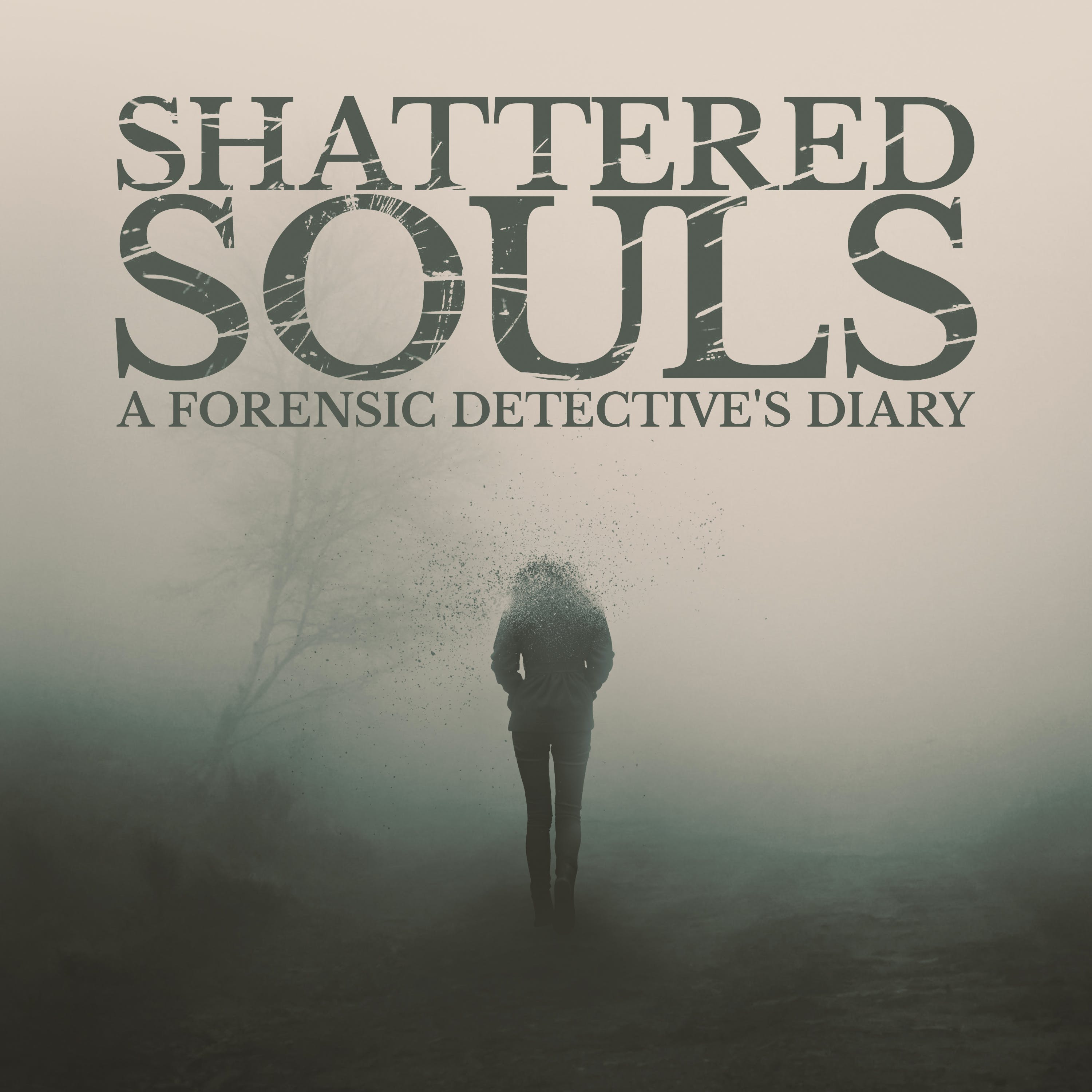 A Note From Thinking Sideways: Introducing "Shattered Souls"