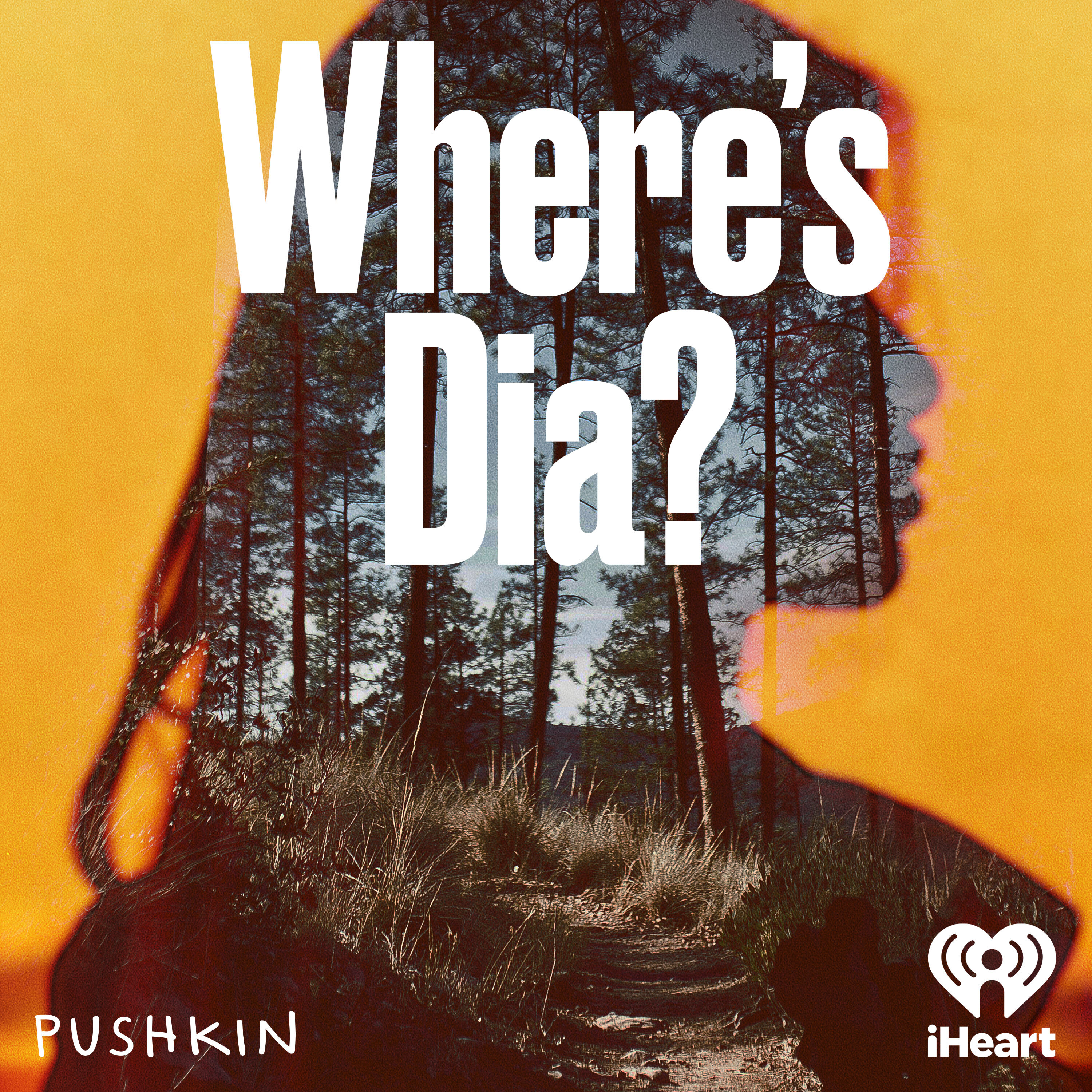 Introducing: Where’s Dia?