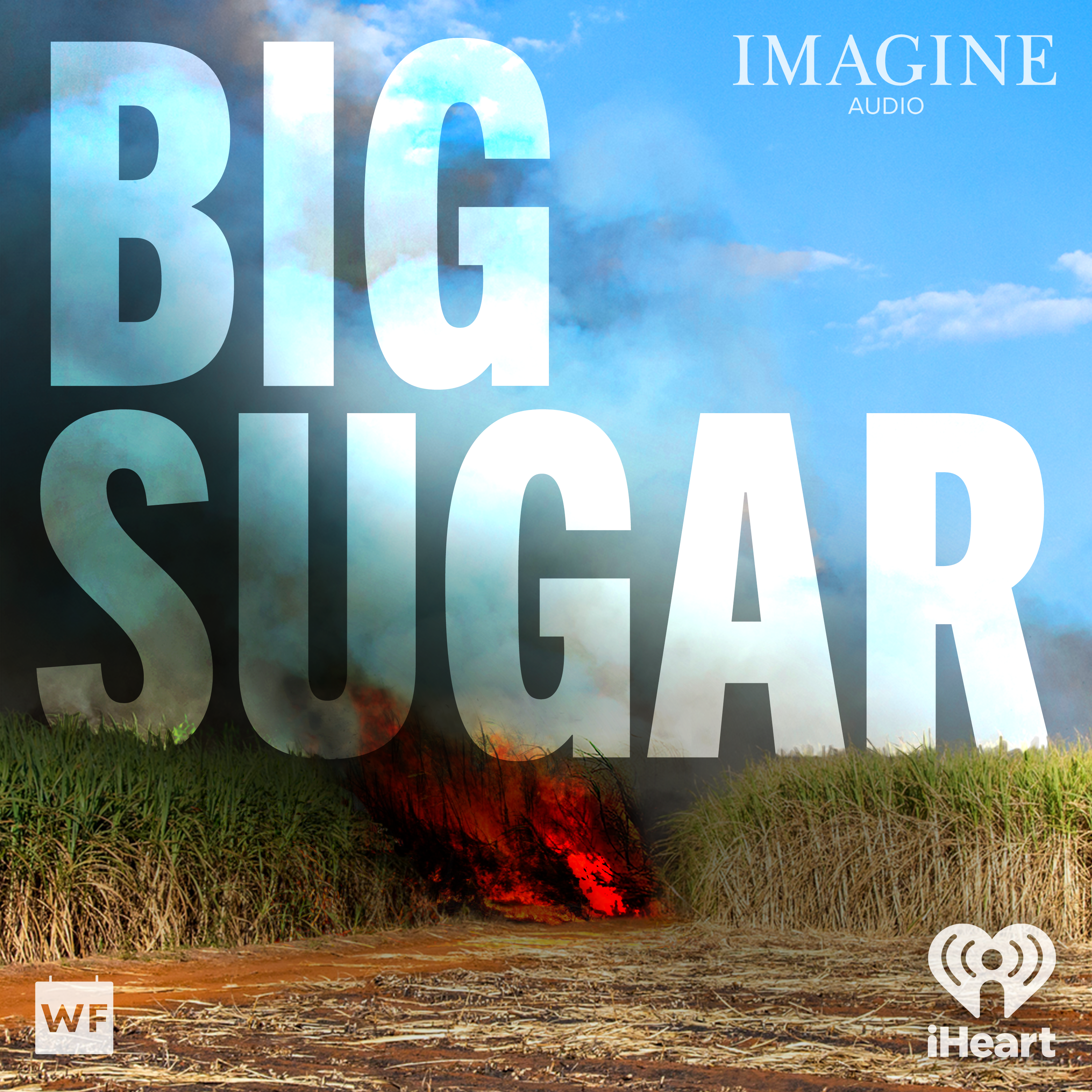 Introducing: Big Sugar