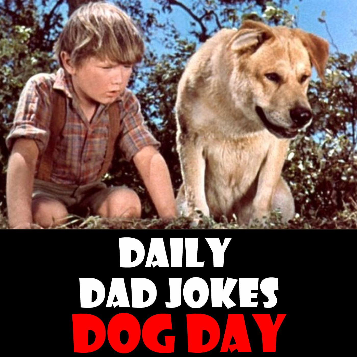 National Dog Day! Check out these "Ruff!" dad jokes! 26 August 2024