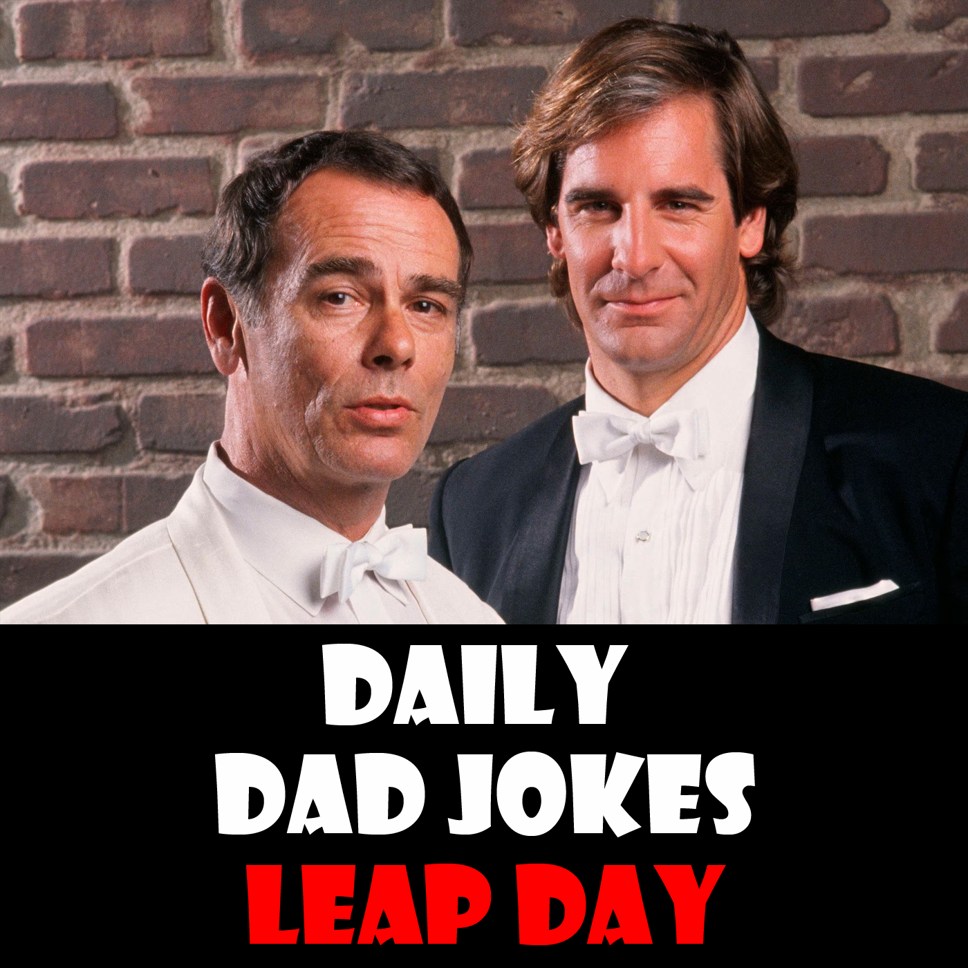 Leap Day! An extra day of dad jokes! 29 February 2024