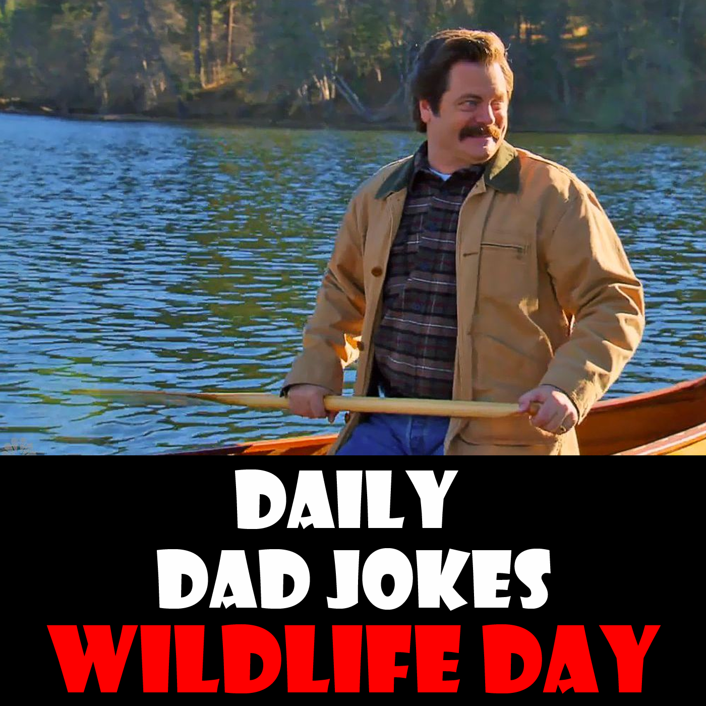 National Wildlife Day! Dad jokes for the great outdoors! 04 September 2024