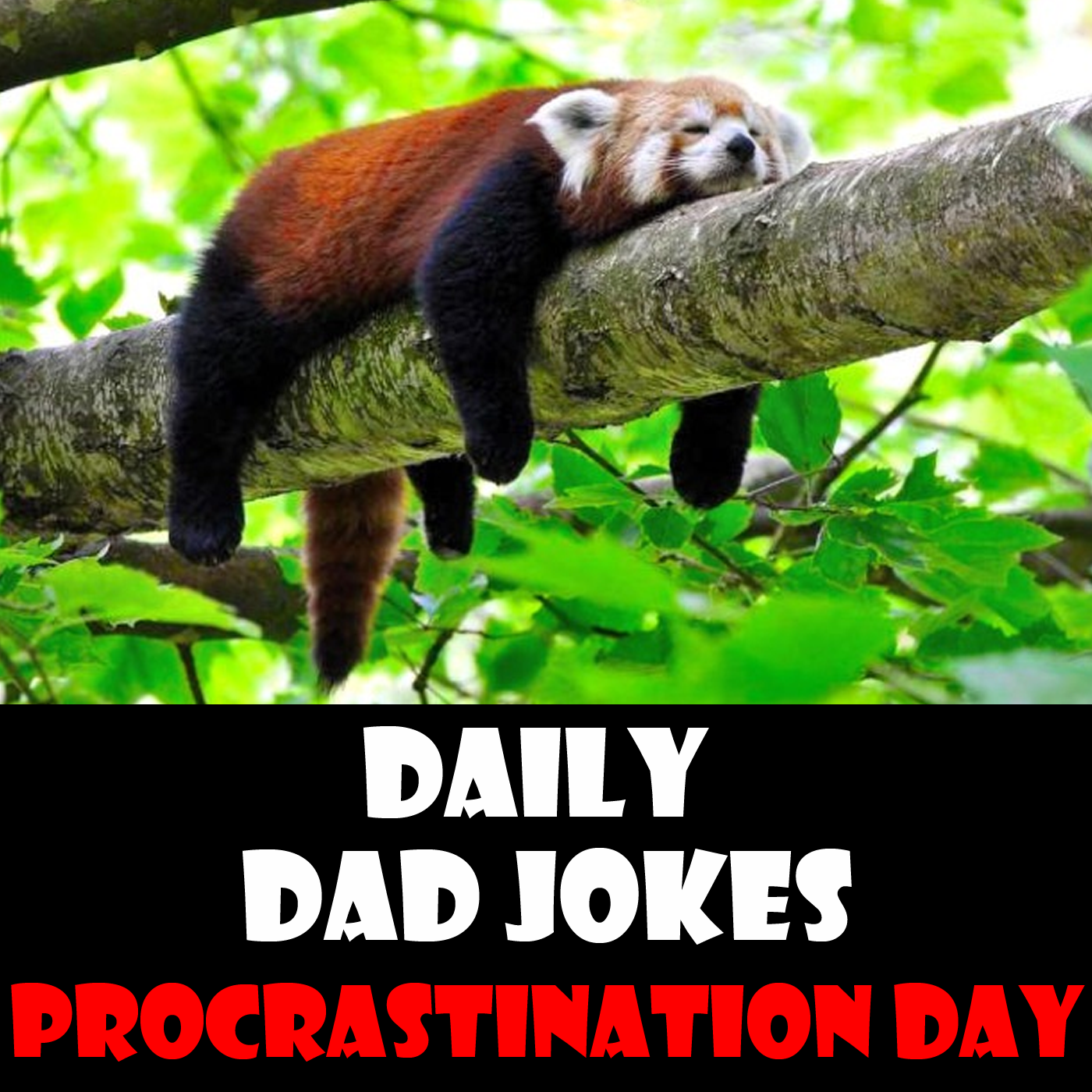 Procrastination Day! Dad Jokes to listen to... tomorrow...! 06 September 2024