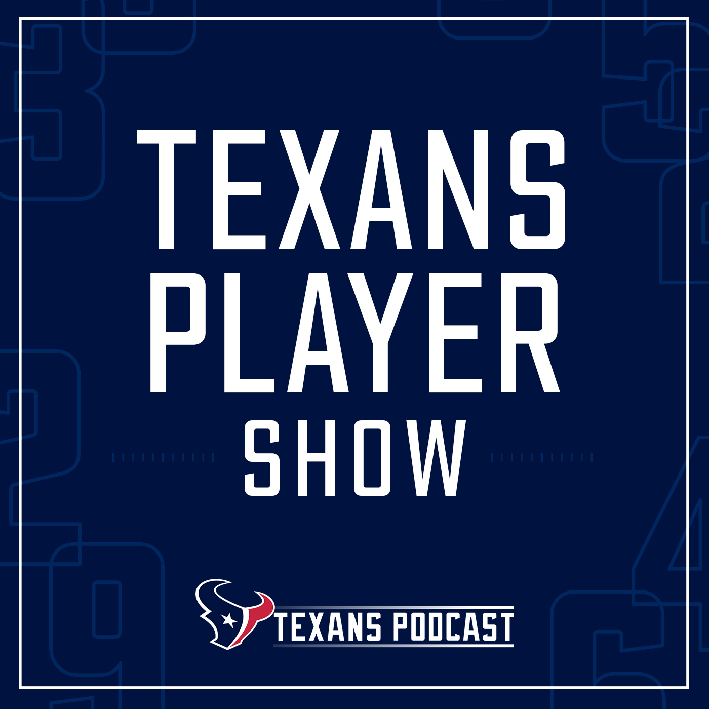 LB Kamu Grugier-Hill | Texans Players Show