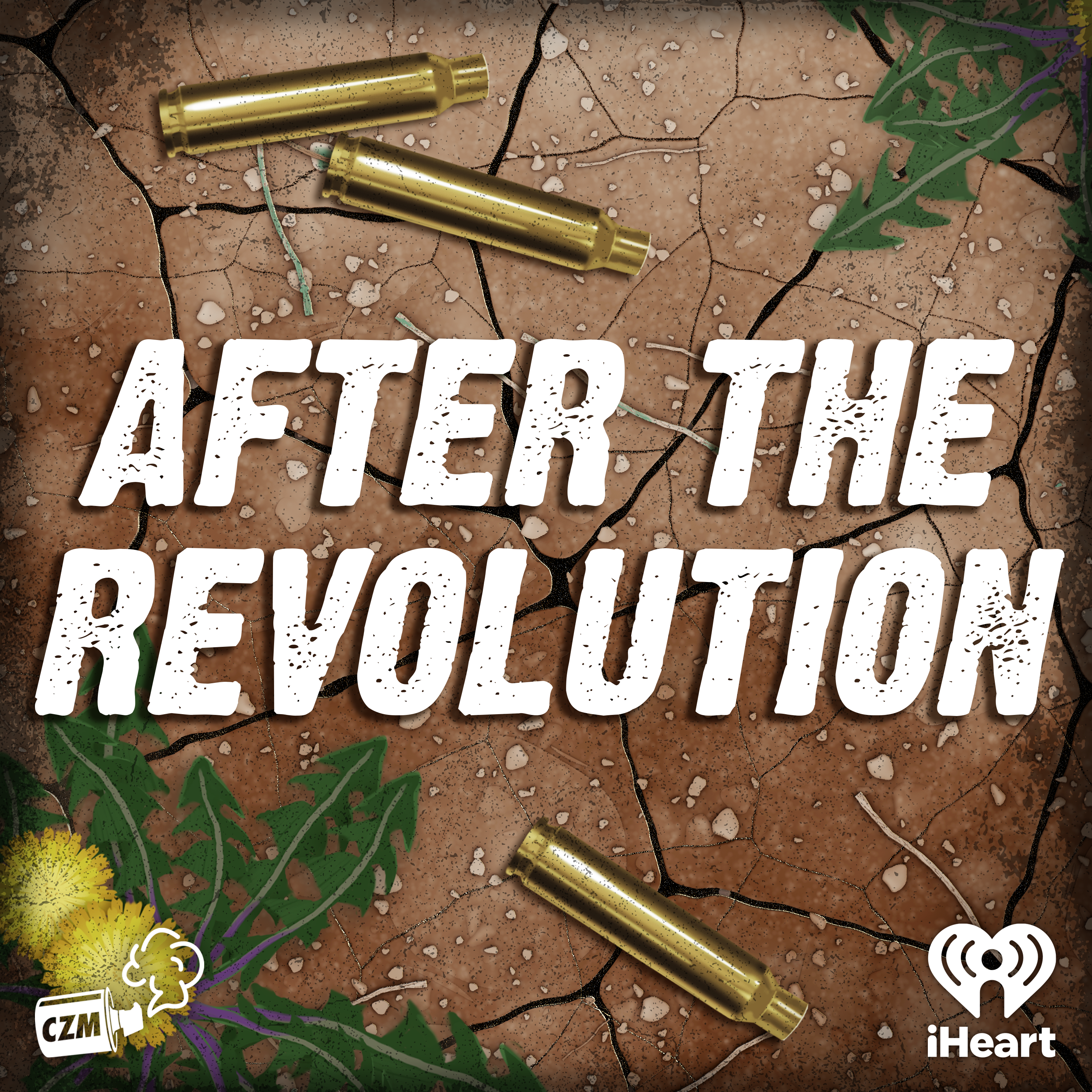 After the Revolution: Chapters Twelve, Thirteen & Fourteen