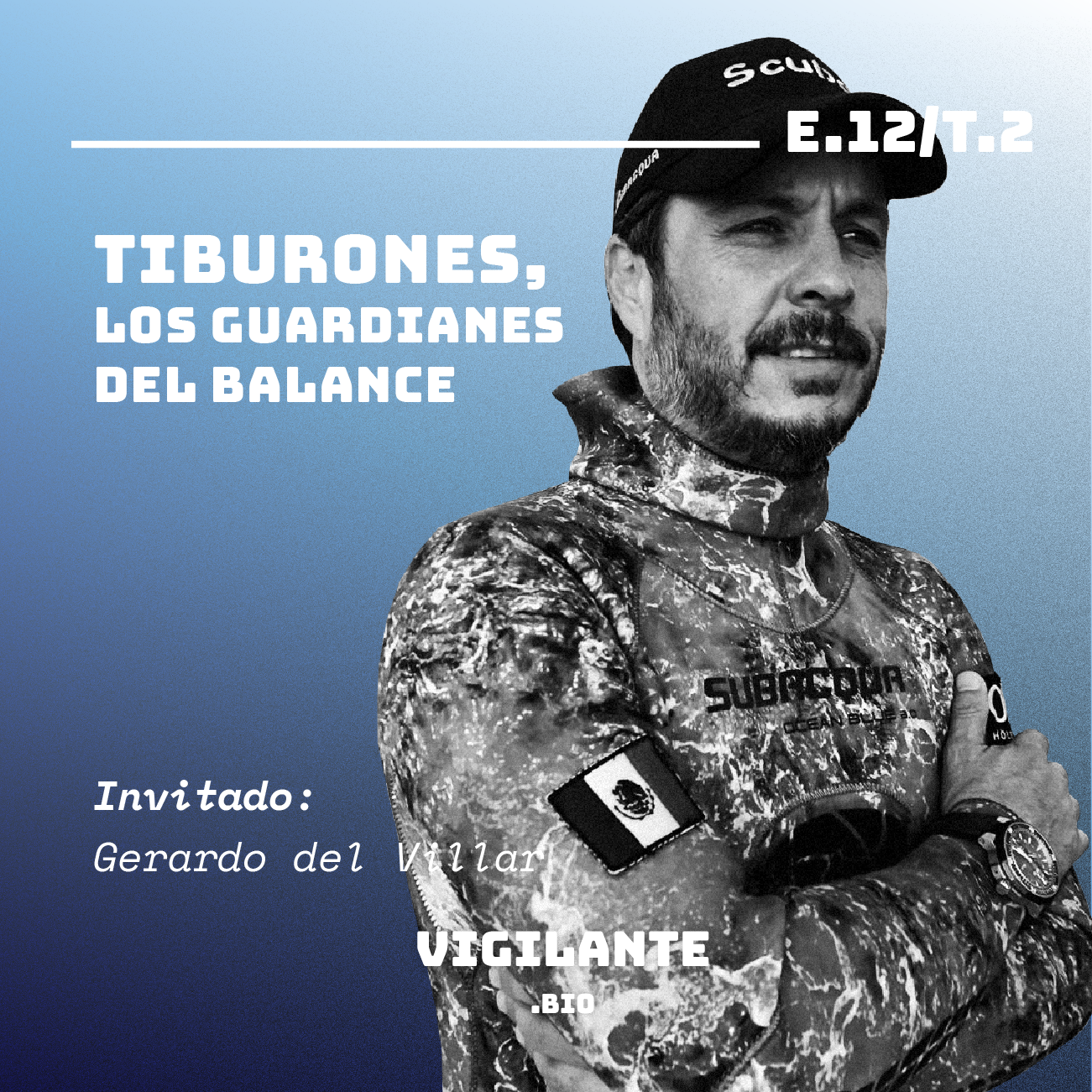 Tiburones; los guardianes del balance