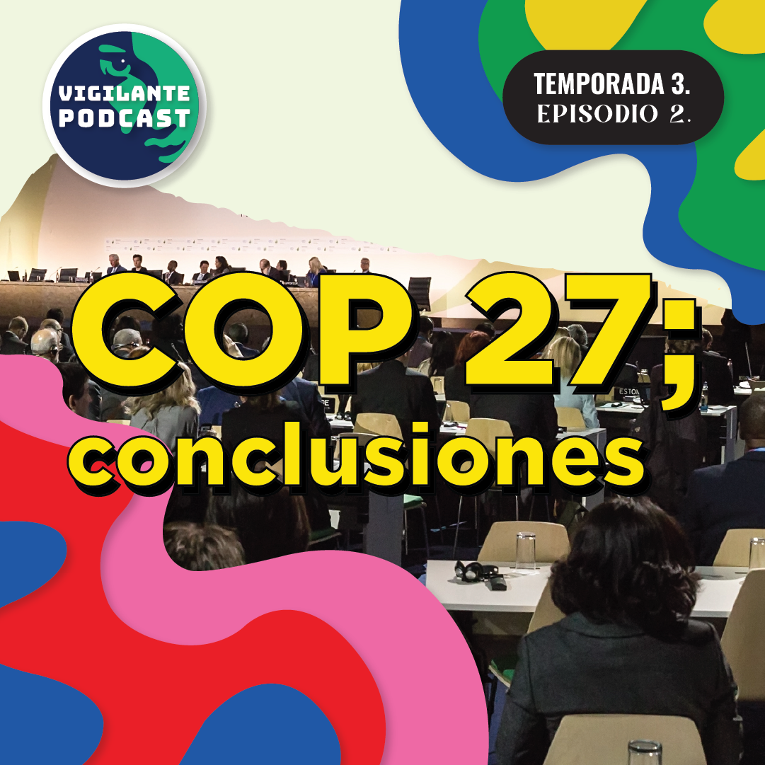 COP 27; conclusiones.