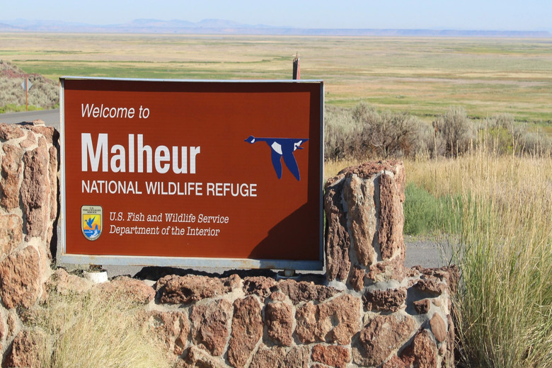 JESS WENICK & DOMINIC BACKMAN MALHEUR WILDLIFE REFUGE 6/11/24