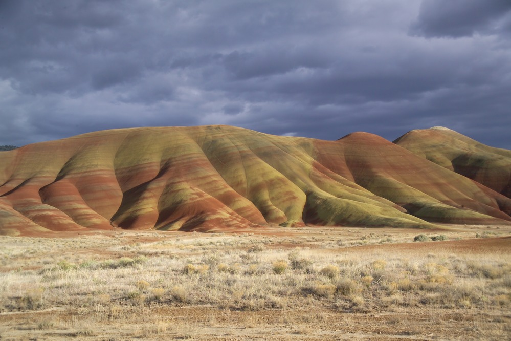 November 29 | John Day Fossil Beds National Monument