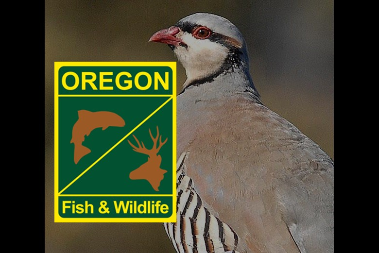 September 6 | ODFW & Oregon Bird Hunters Assn.