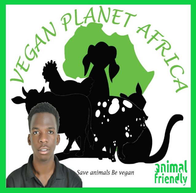 20. Vegan Planet Africa