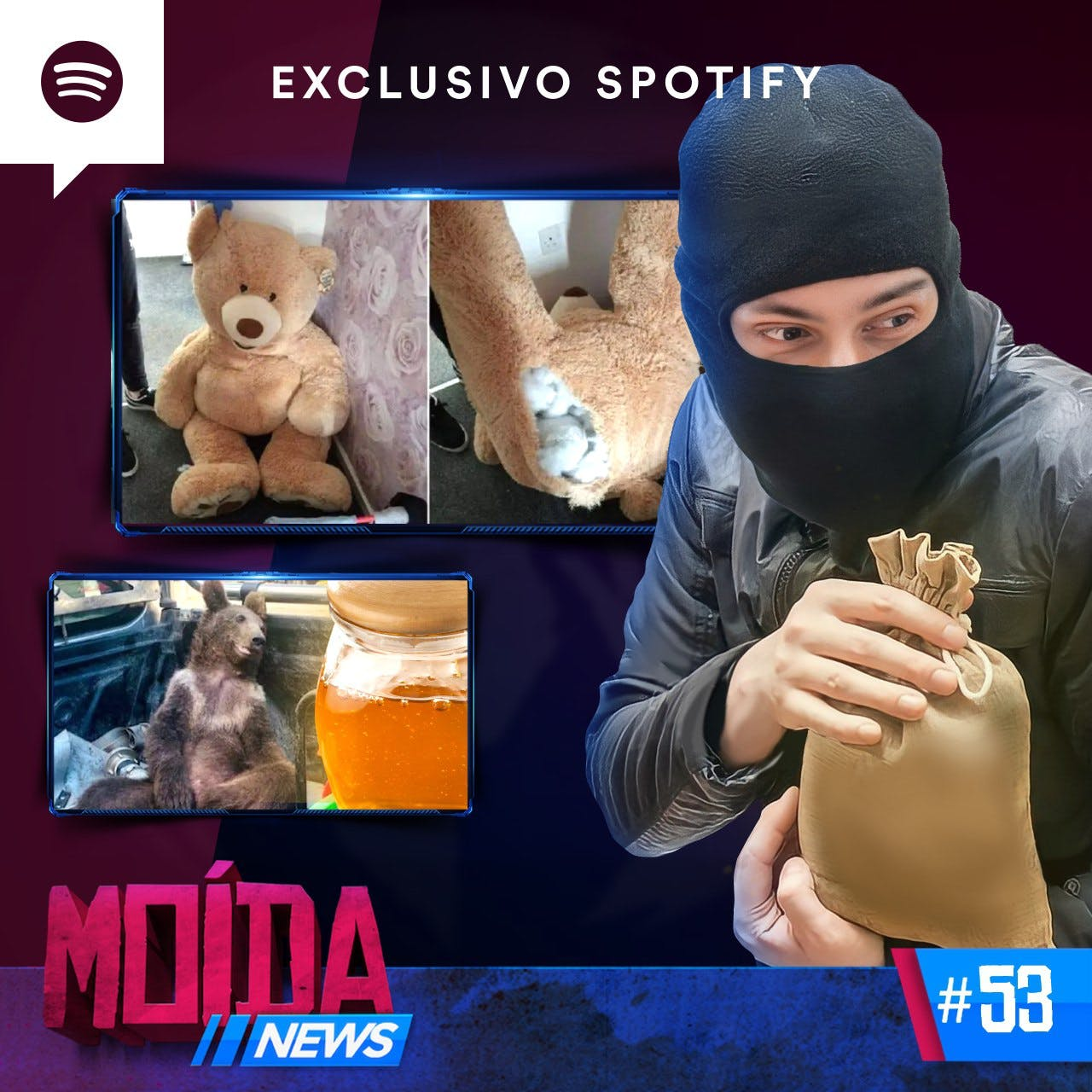 MoídaNews #53 › LADRÕES DE PLACENTA / URSO MTO LOUCO DE MEL / LADRÃO SE ESCONDE EM URSO DE PELÚCIA