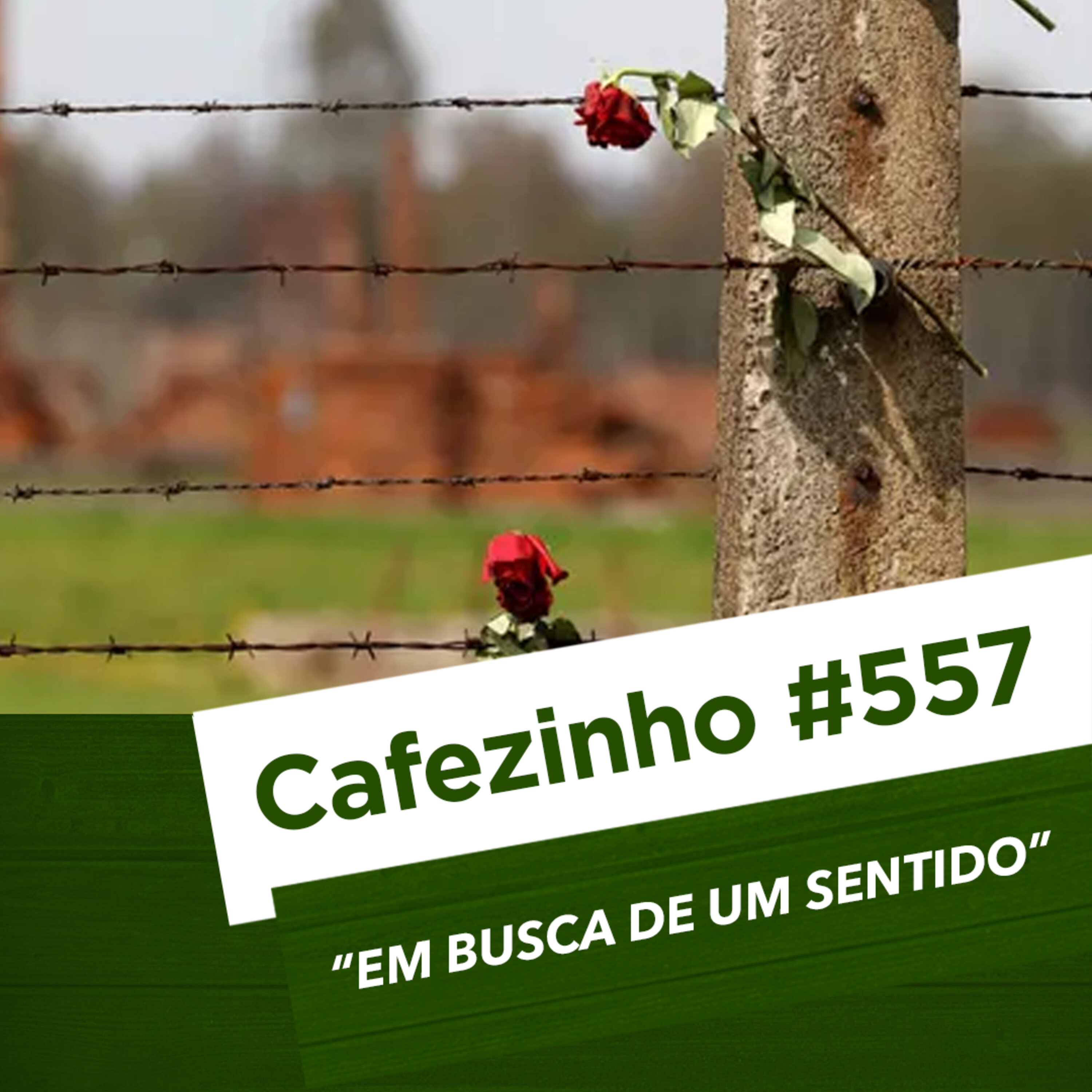 Cafezinho 557 - Em Busca de Sentido