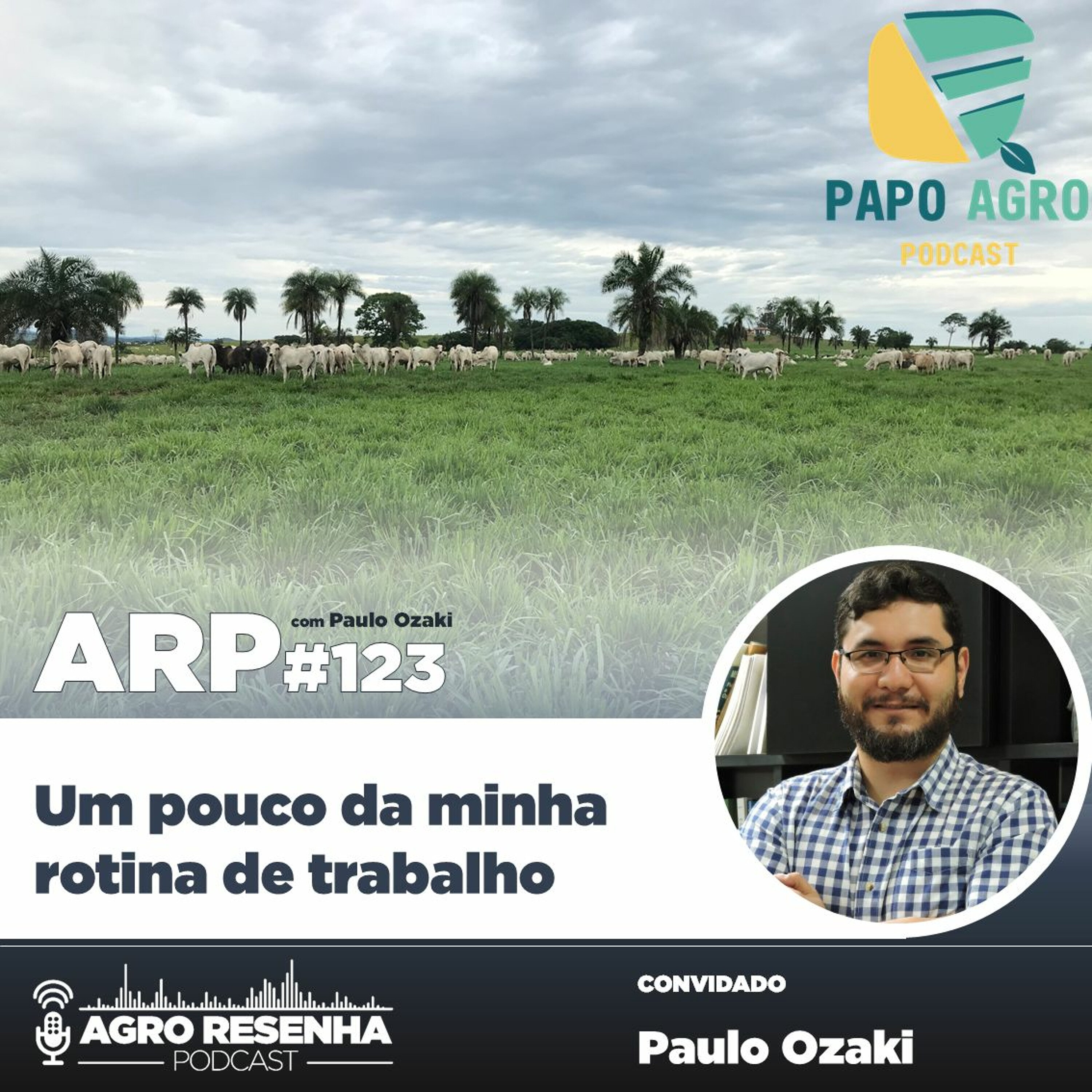 ARP#123 - Um pouco da minha rotina de trabalho