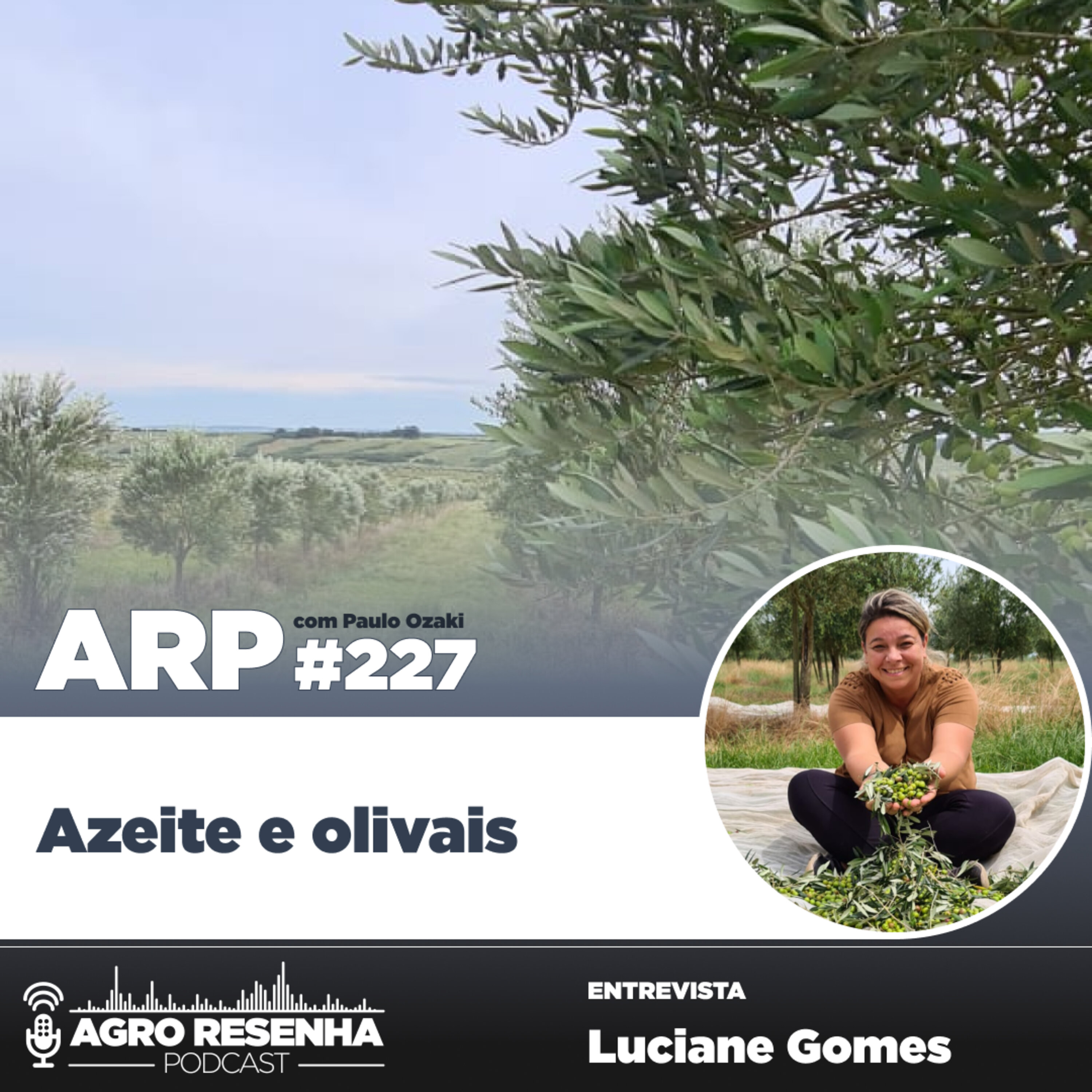 ARP#227 - Azeite e olivais