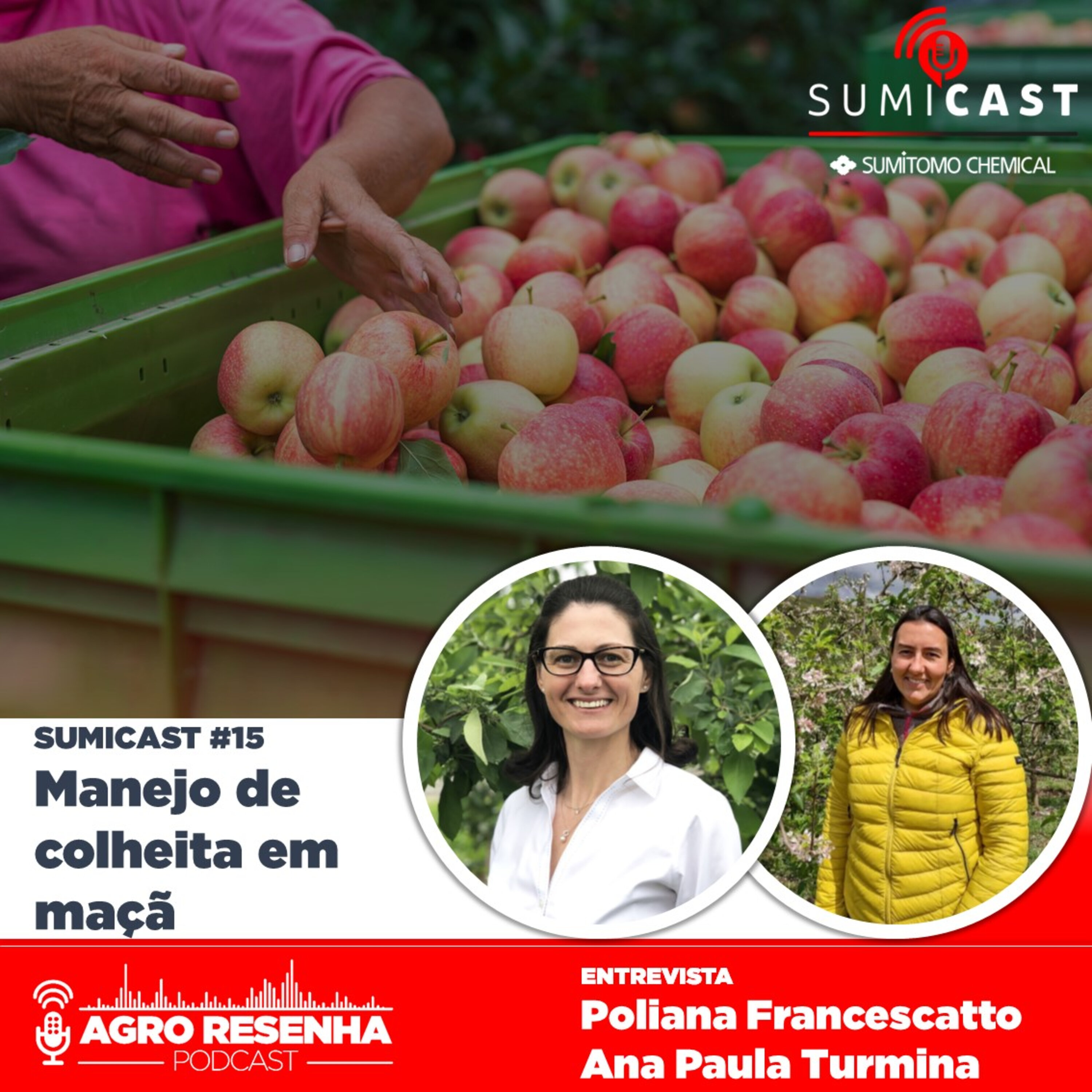 Sumicast #15 - Manejo de colheita em maçã