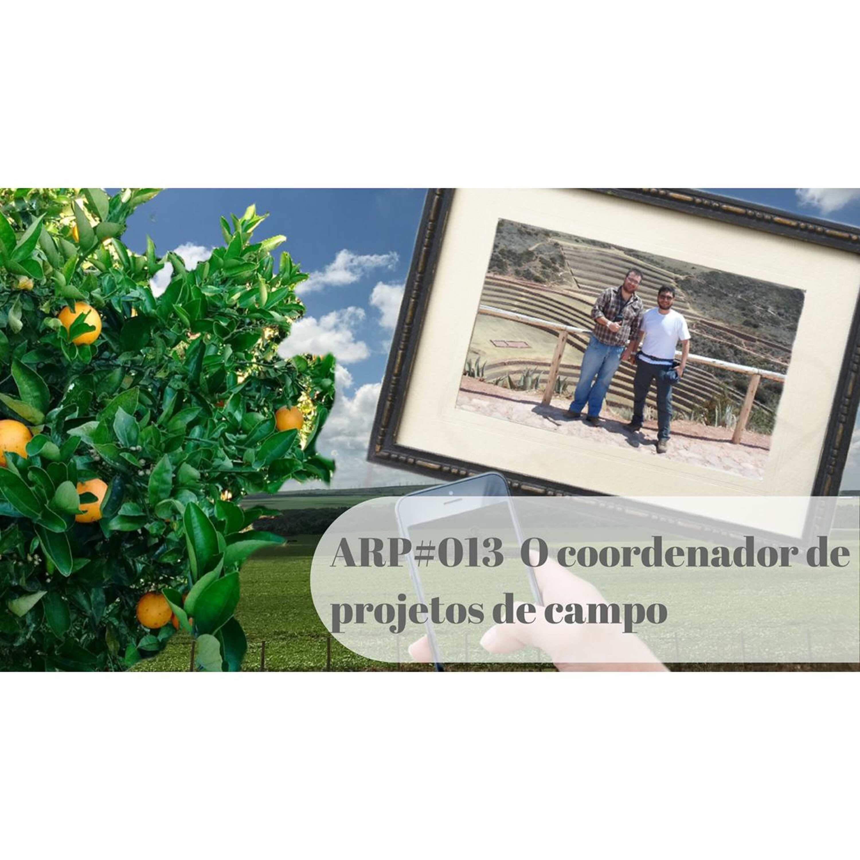ARP#013 - O coordenador de projetos de campo