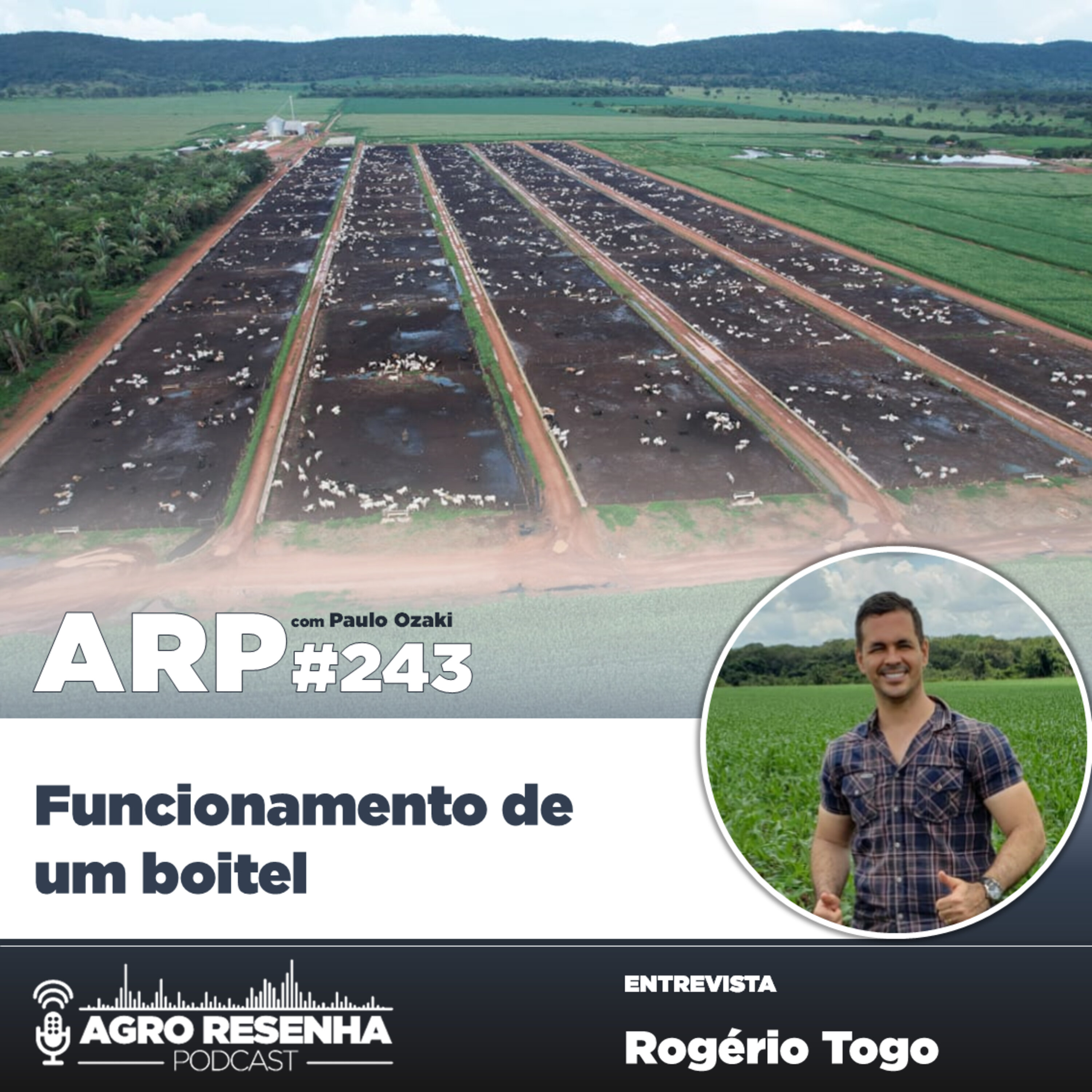 ARP#243 - Funcionamento de um boitel