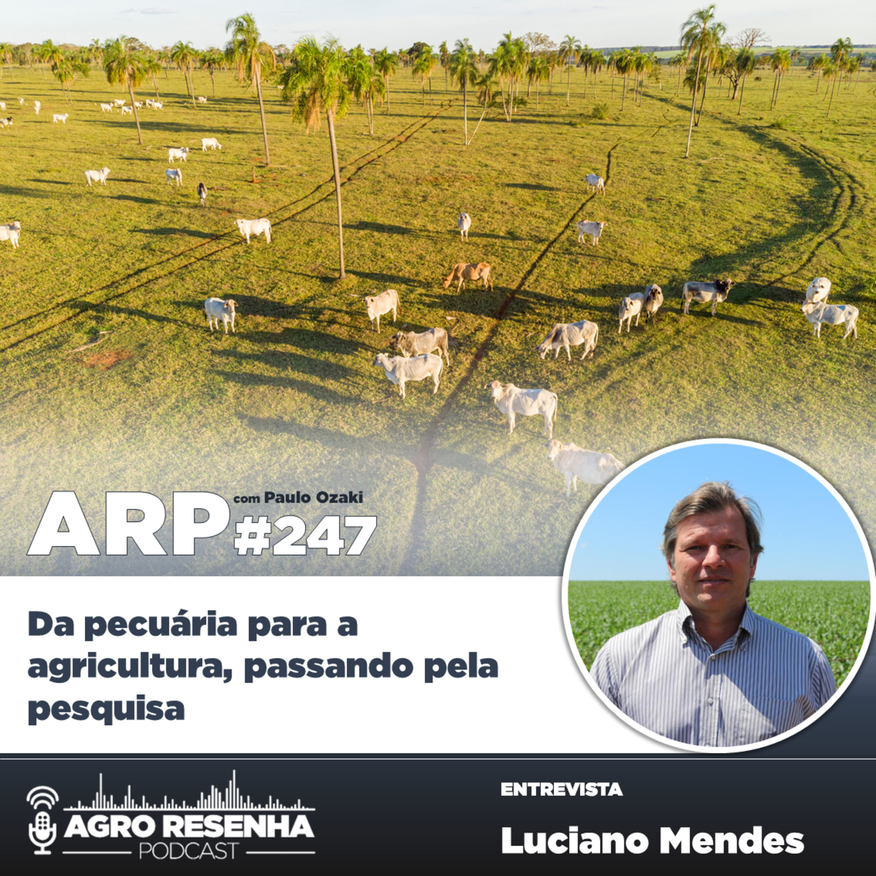 ARP#247 - Da pecuária para a agricultura, passando pela pesquisa