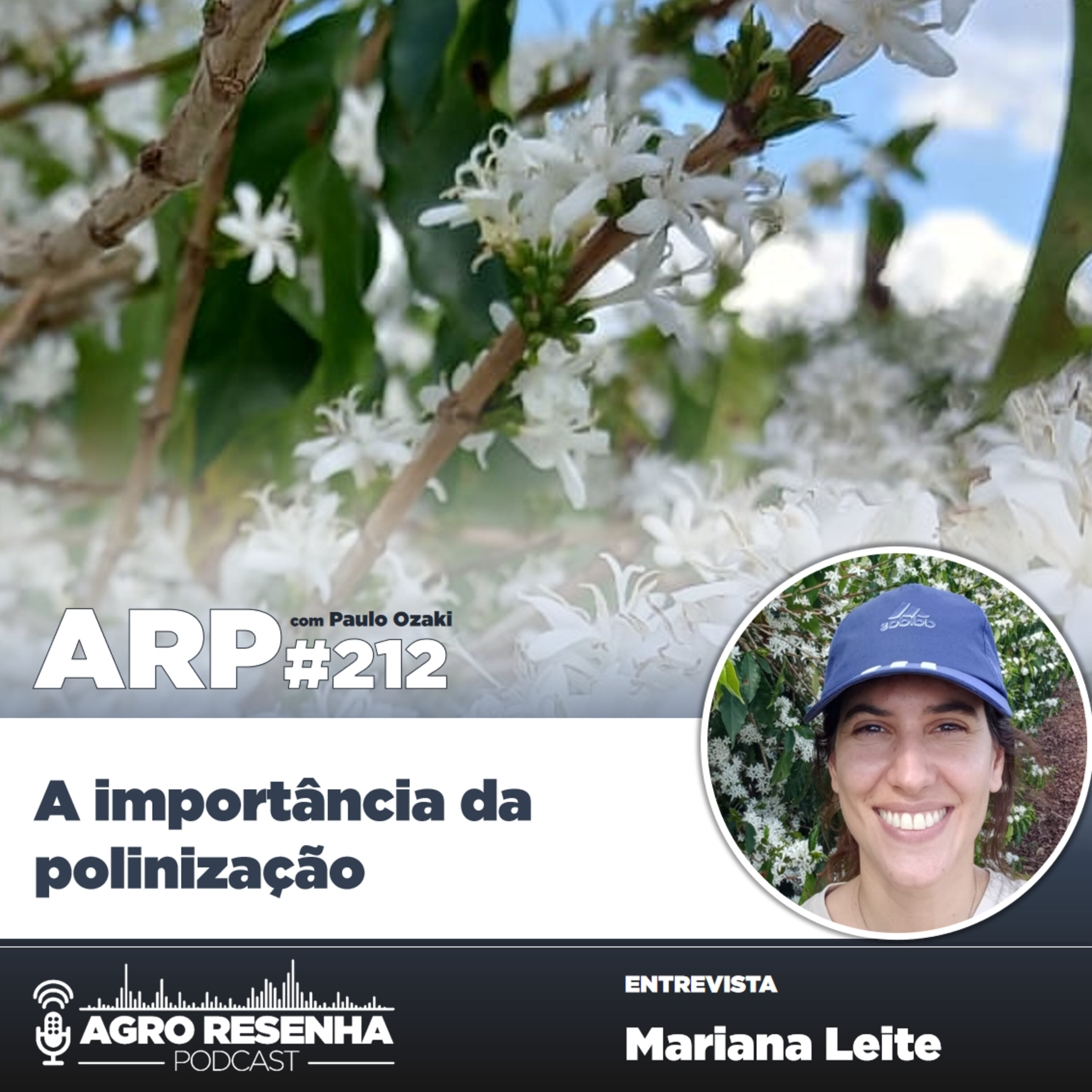 ARP#212 - A importância da polinização