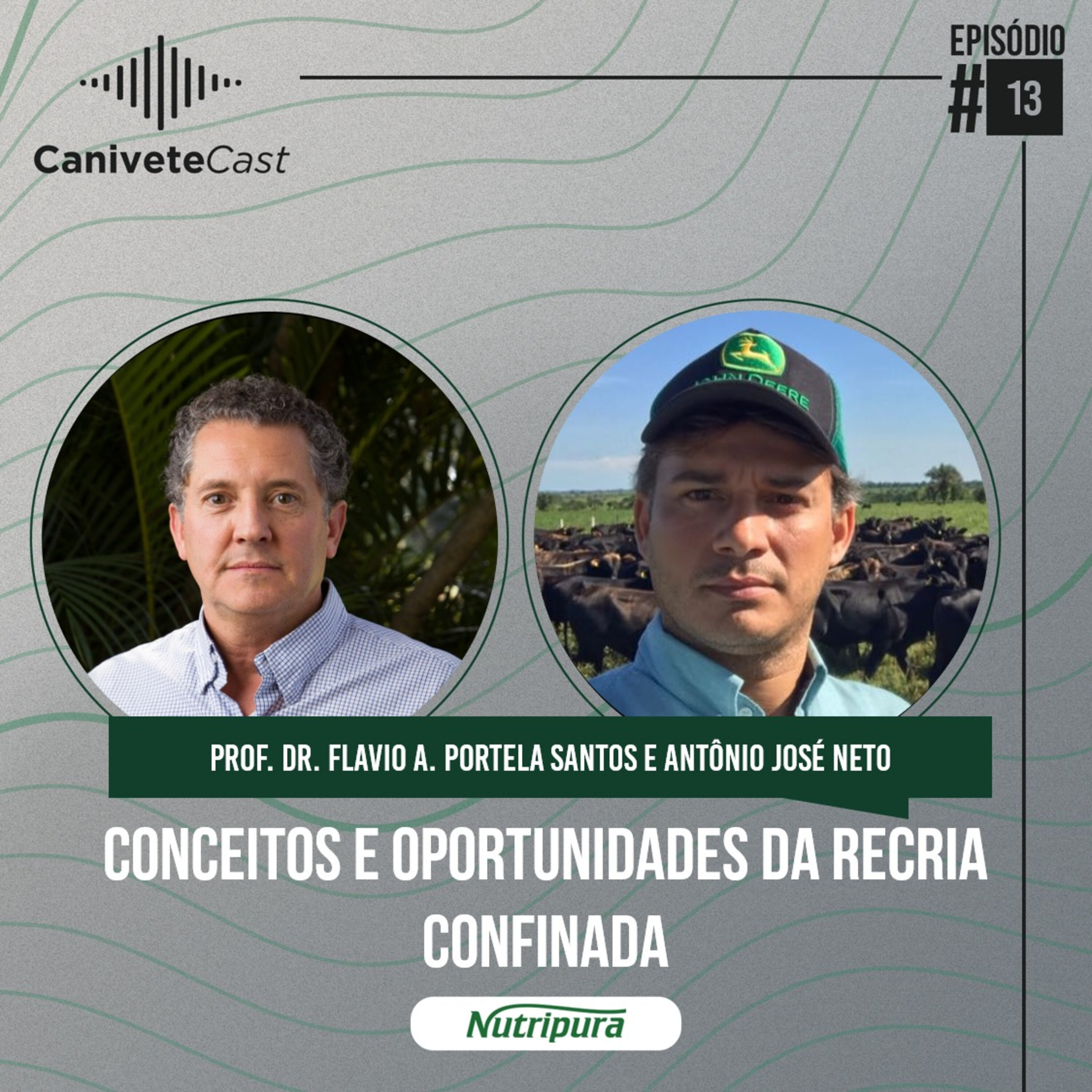 CaniveteCast #13 - Conceitos e oportunidades da Recria Confinada