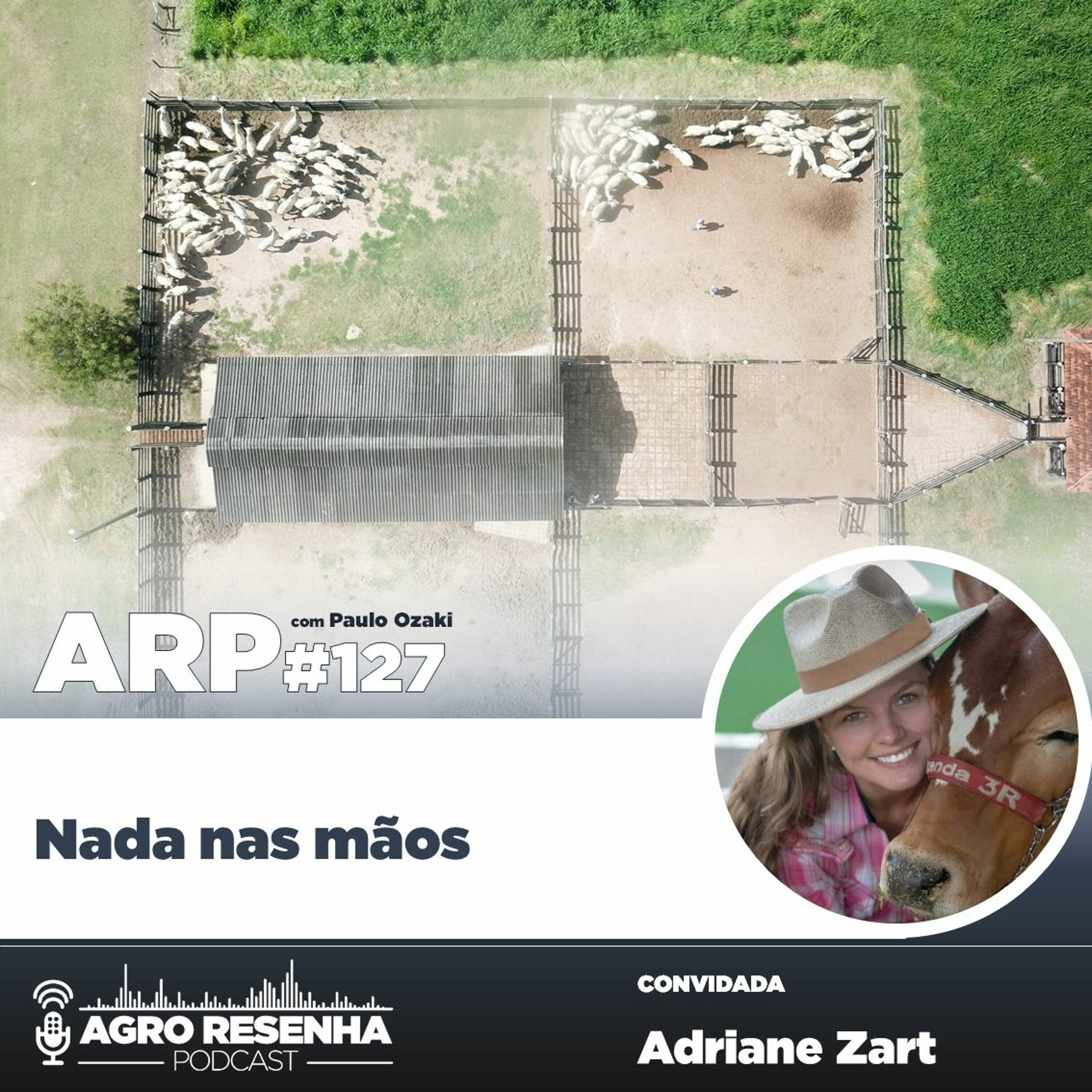 ARP#127 - Nada nas mãos