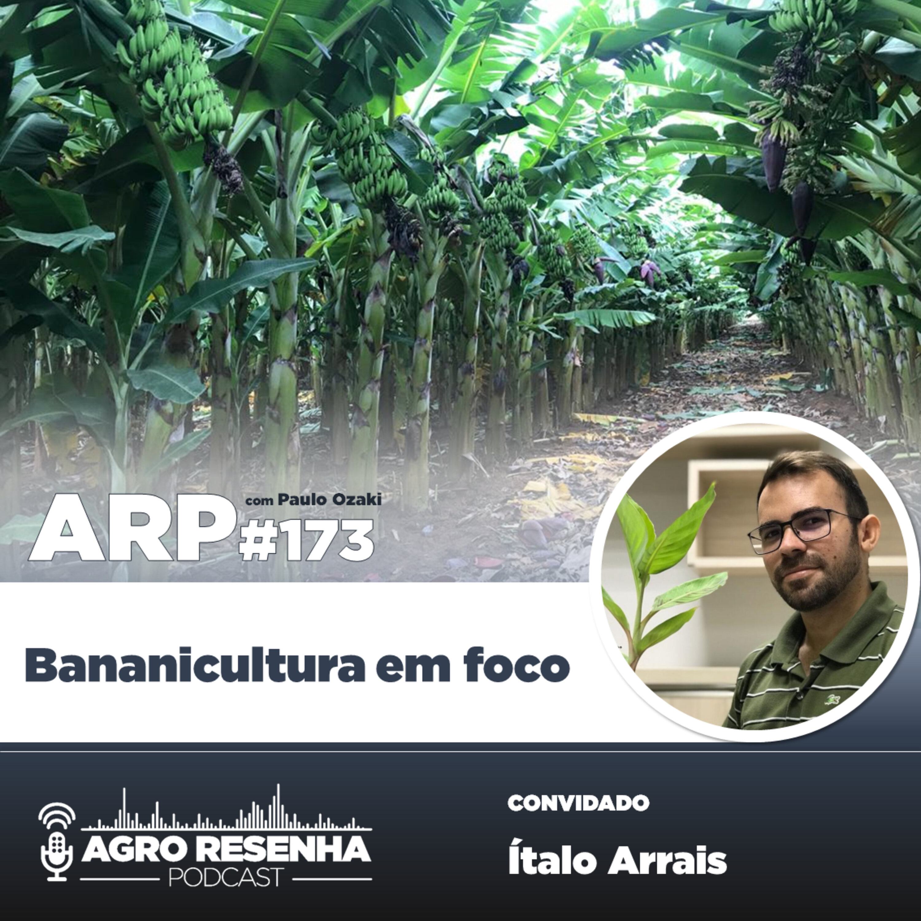 ARP#173 - Bananicultura em foco