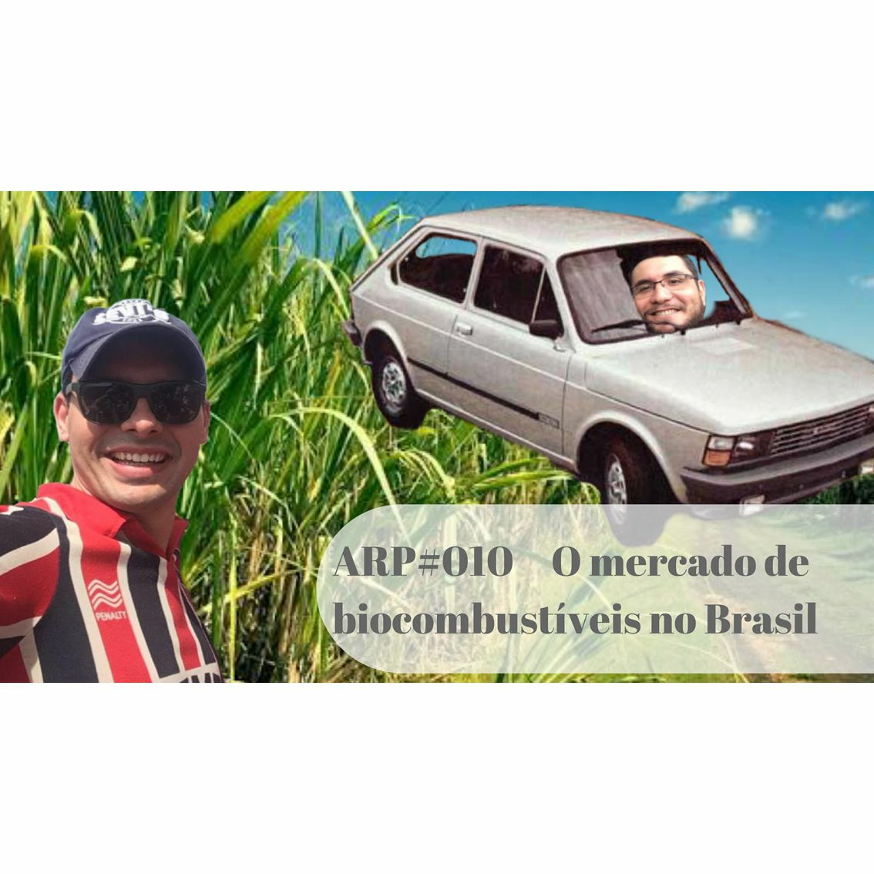 ARP#010 - O mercado de biocombustíveis no Brasil