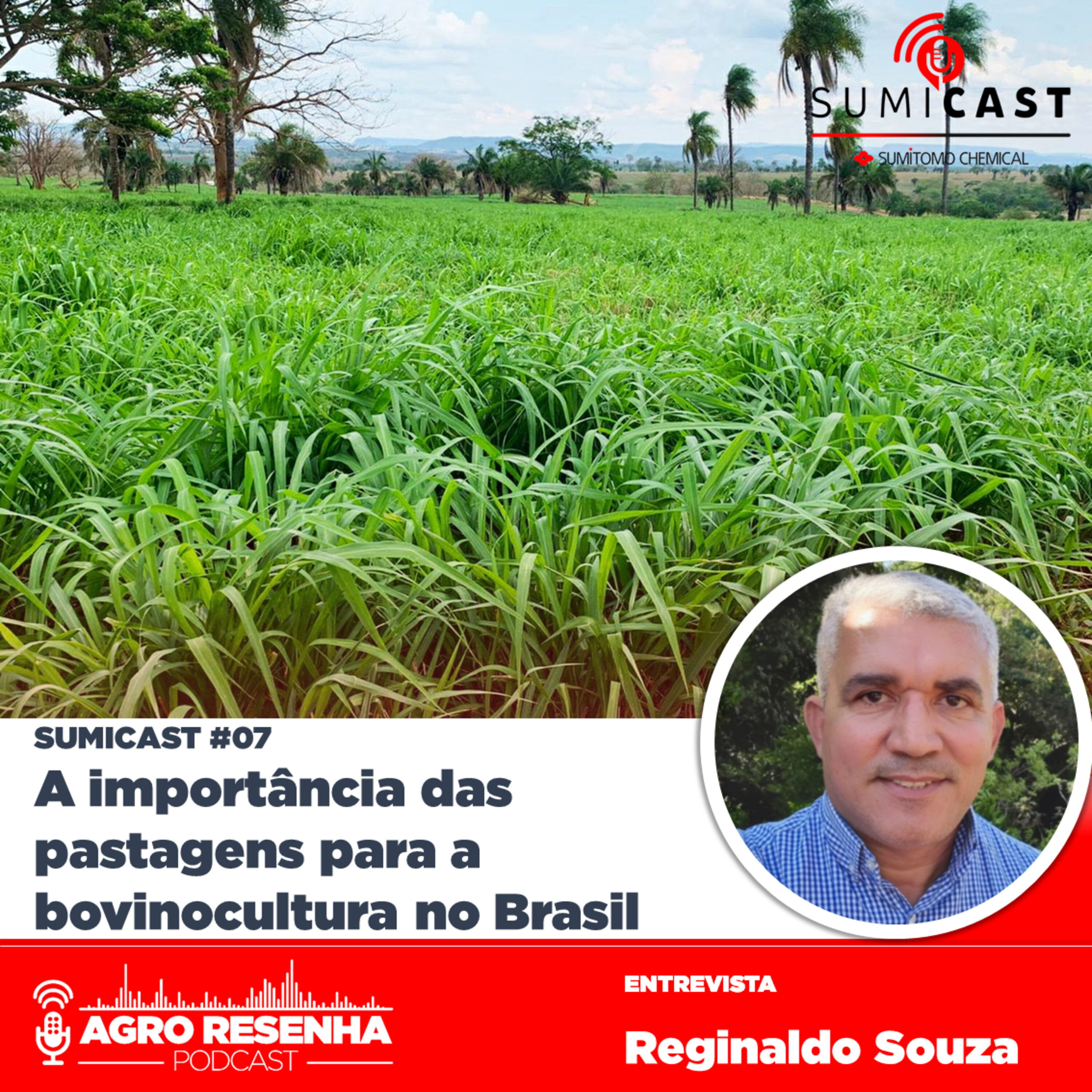 Sumicast #07 - A importância das pastagens para a bovinocultura no Brasil