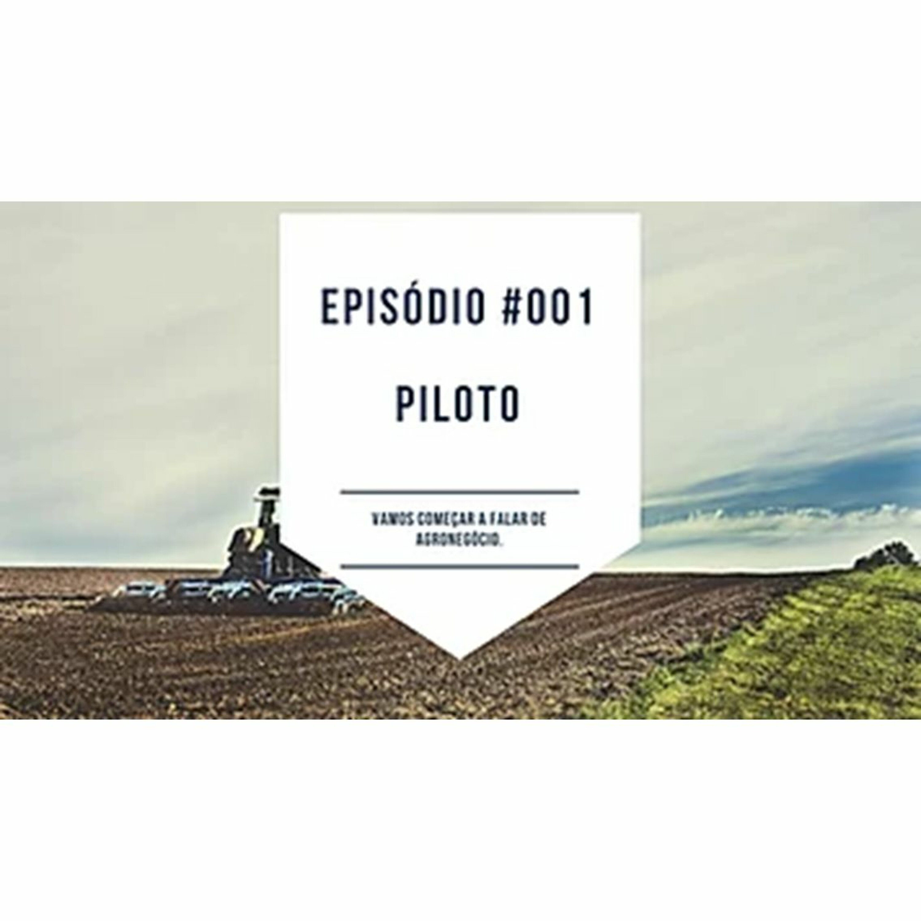 ARP#001 - Piloto