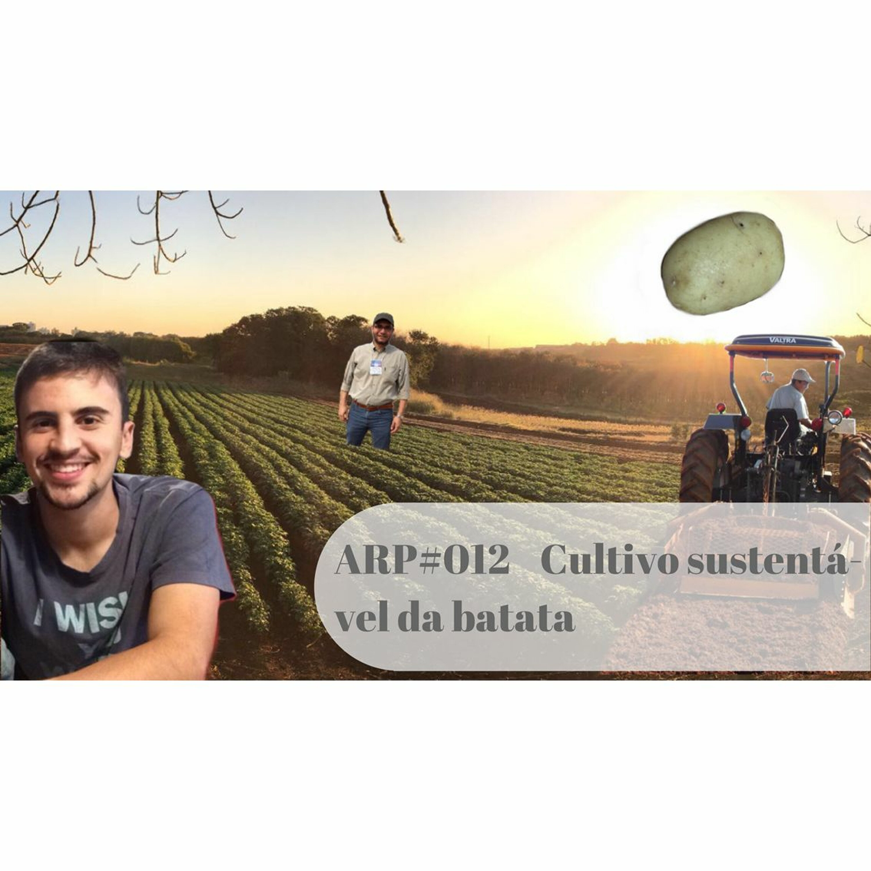 ARP#012 - Cultivo sustentável da batata