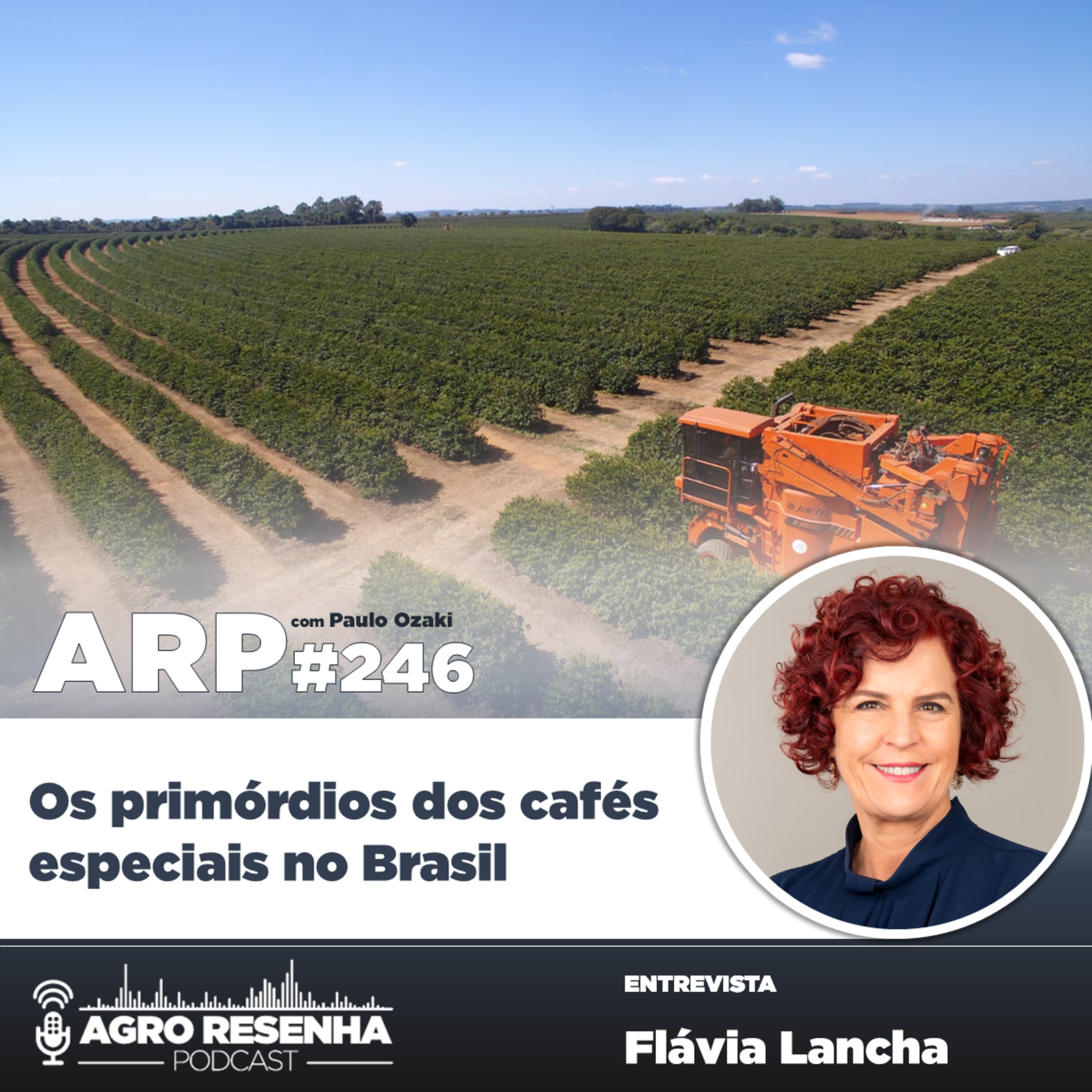 ARP#246 - Os primórdios dos cafés especiais no Brasil