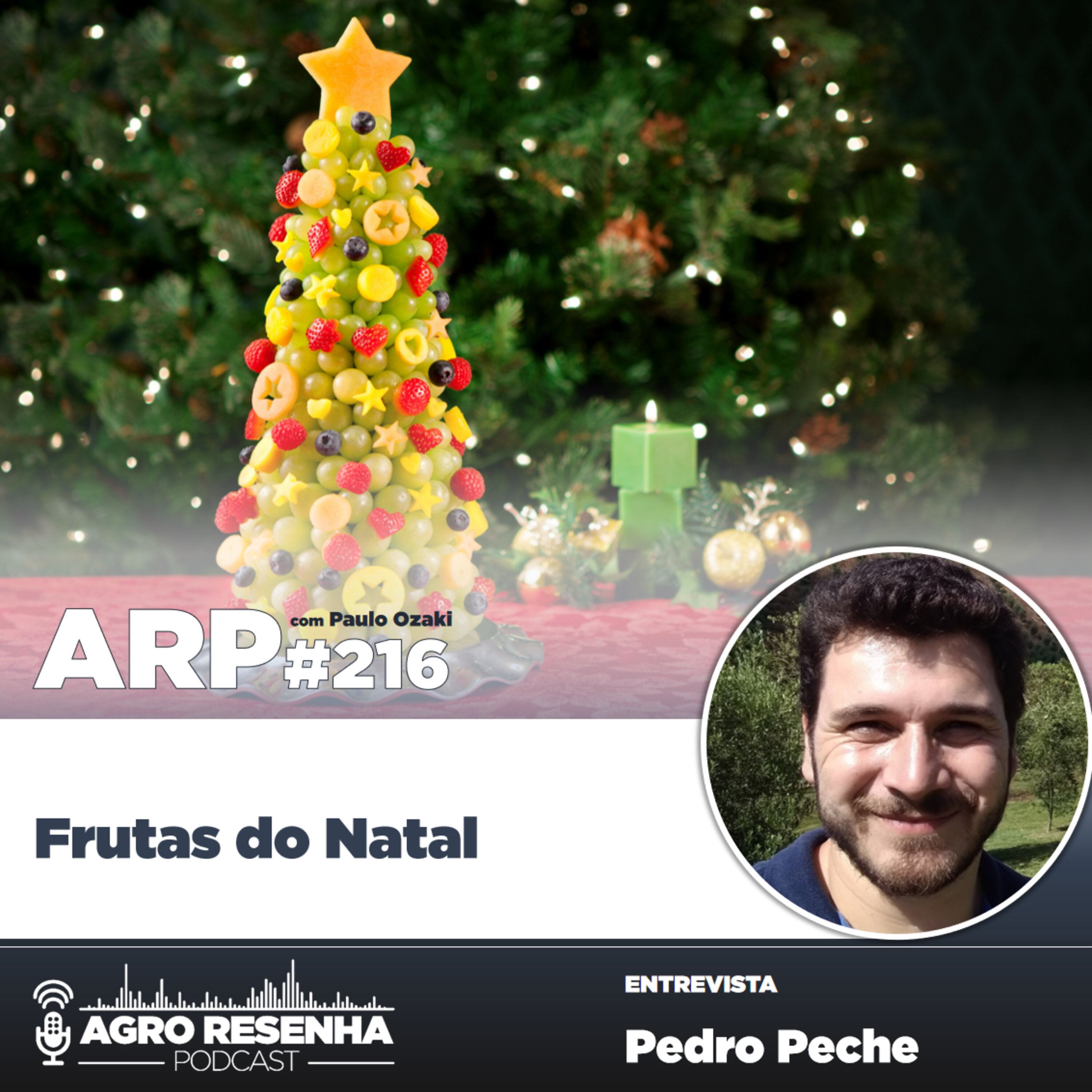 ARP#216 - Frutas do Natal