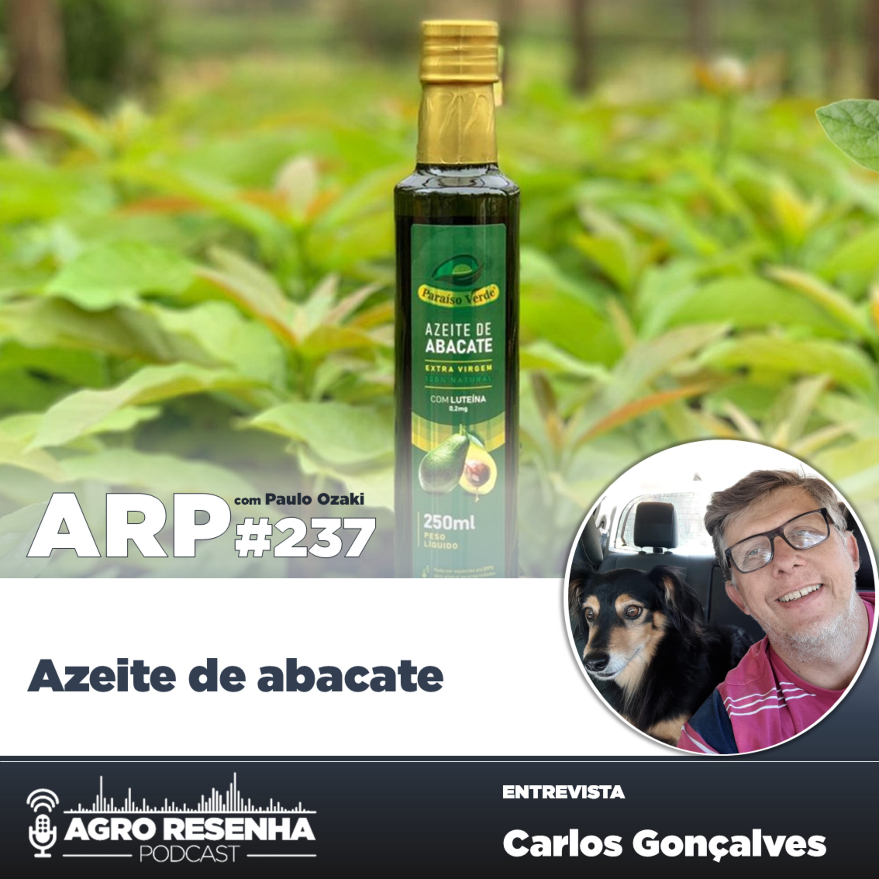 ARP#237 - Azeite de abacate