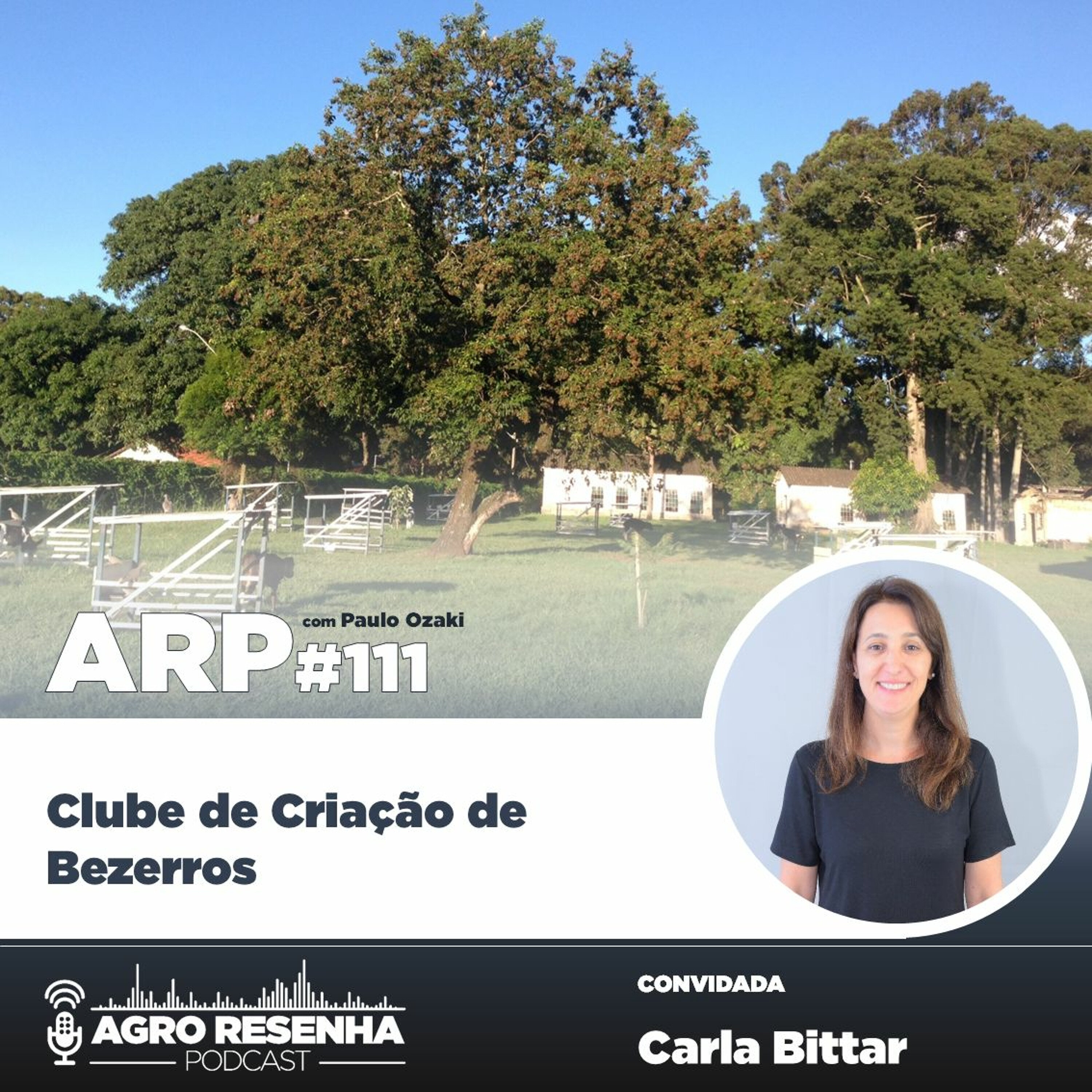 ARP#111 - Clube de Criação de Bezerros