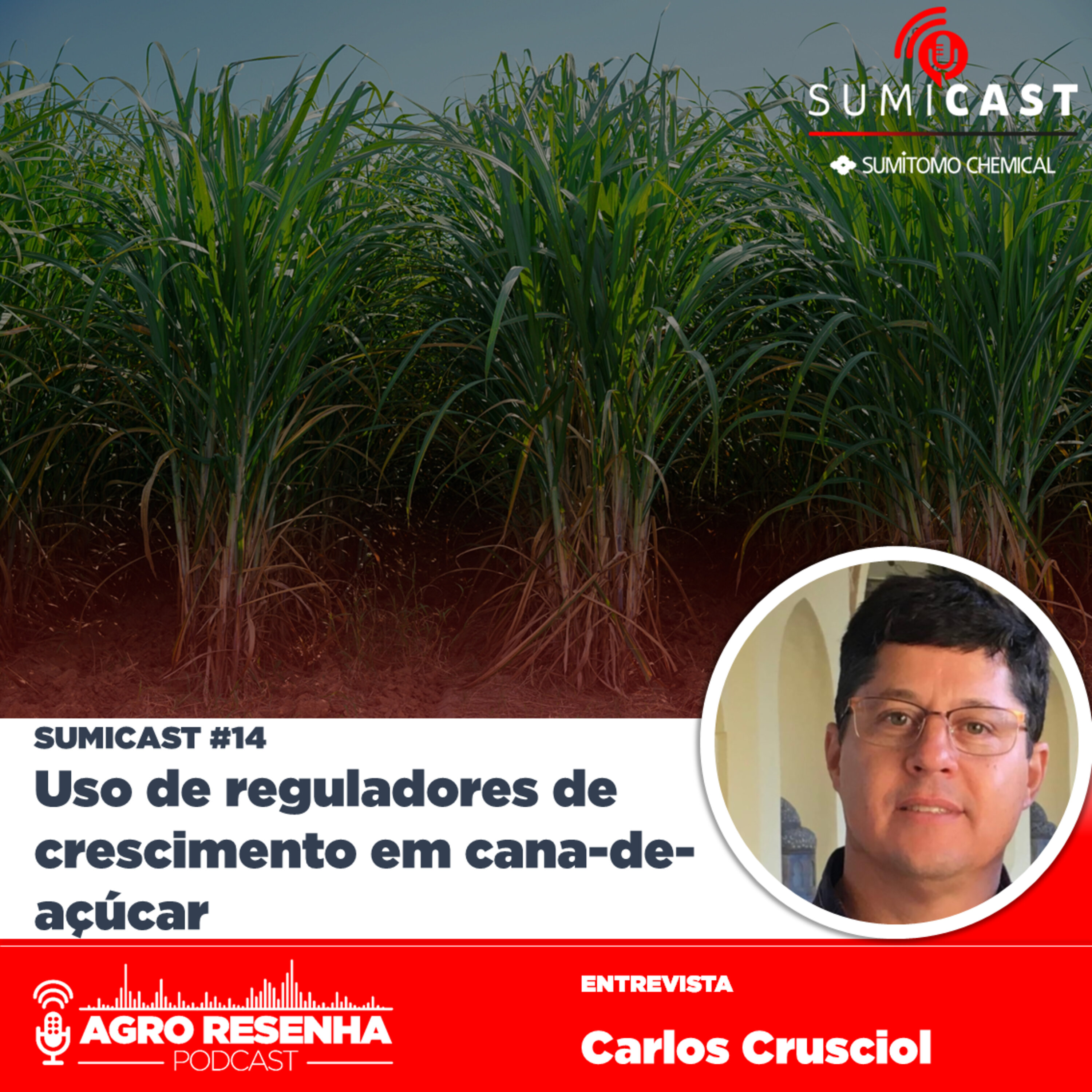 Sumicast #14 - Uso de reguladores de crescimento em cana-de-açúcar