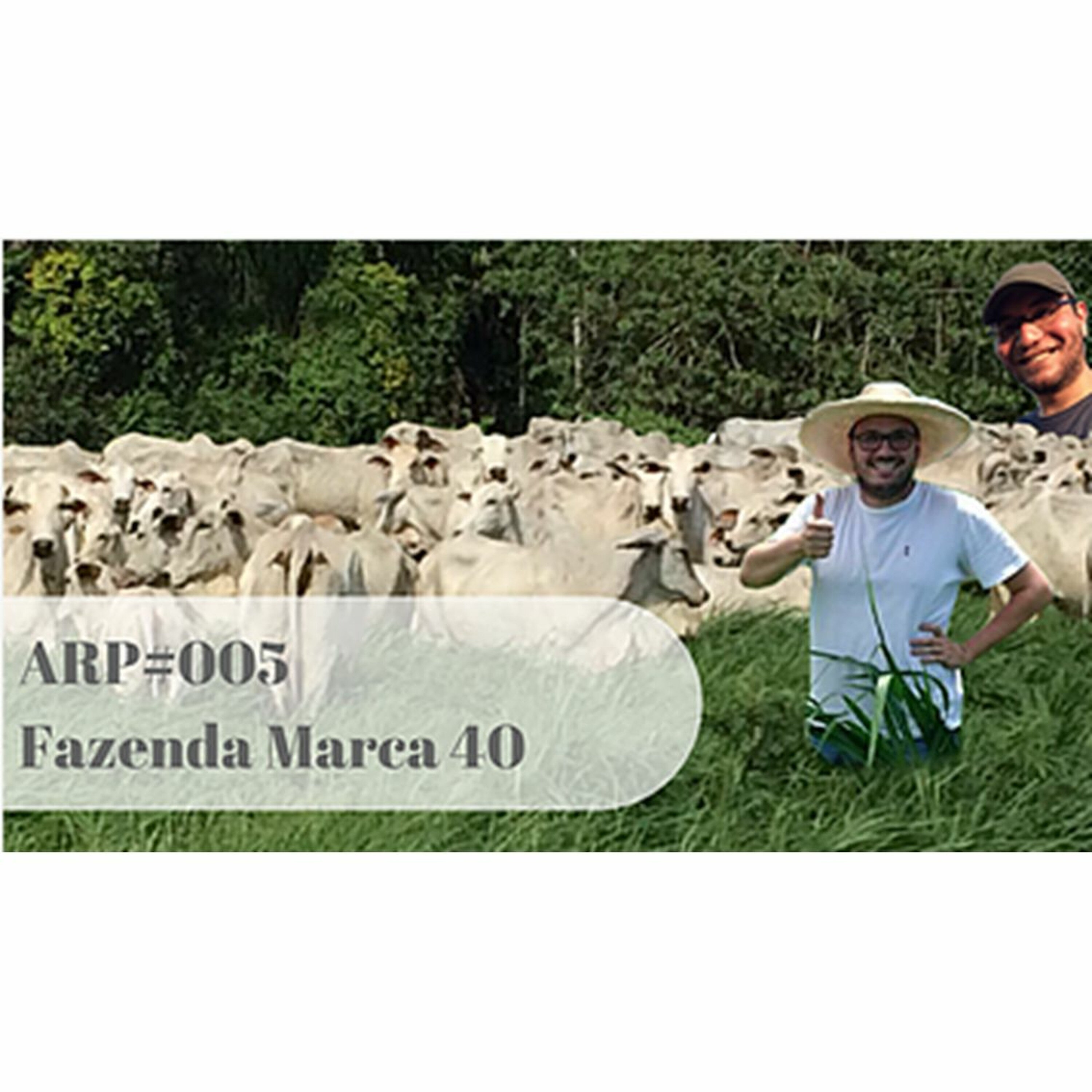ARP#005 - Fazenda Marca 40