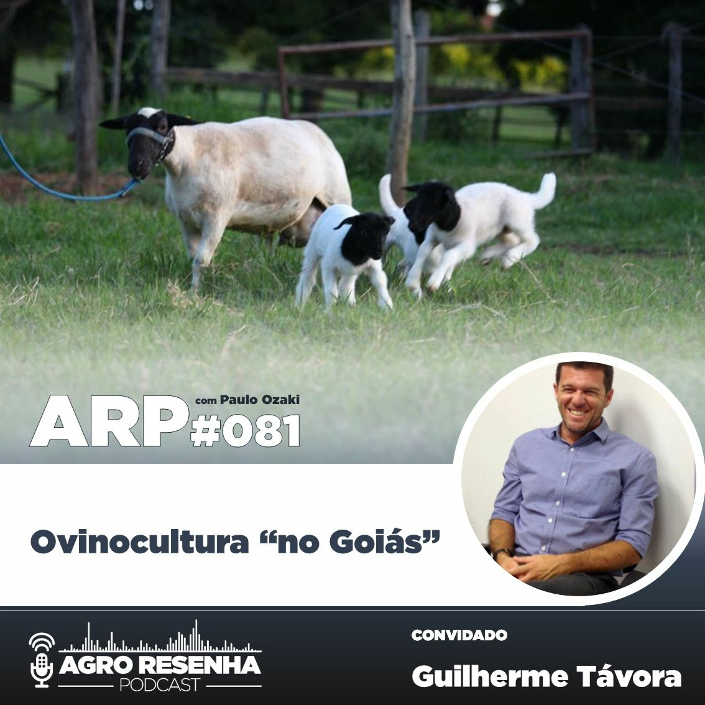 ARP#081 - Ovinocultura 