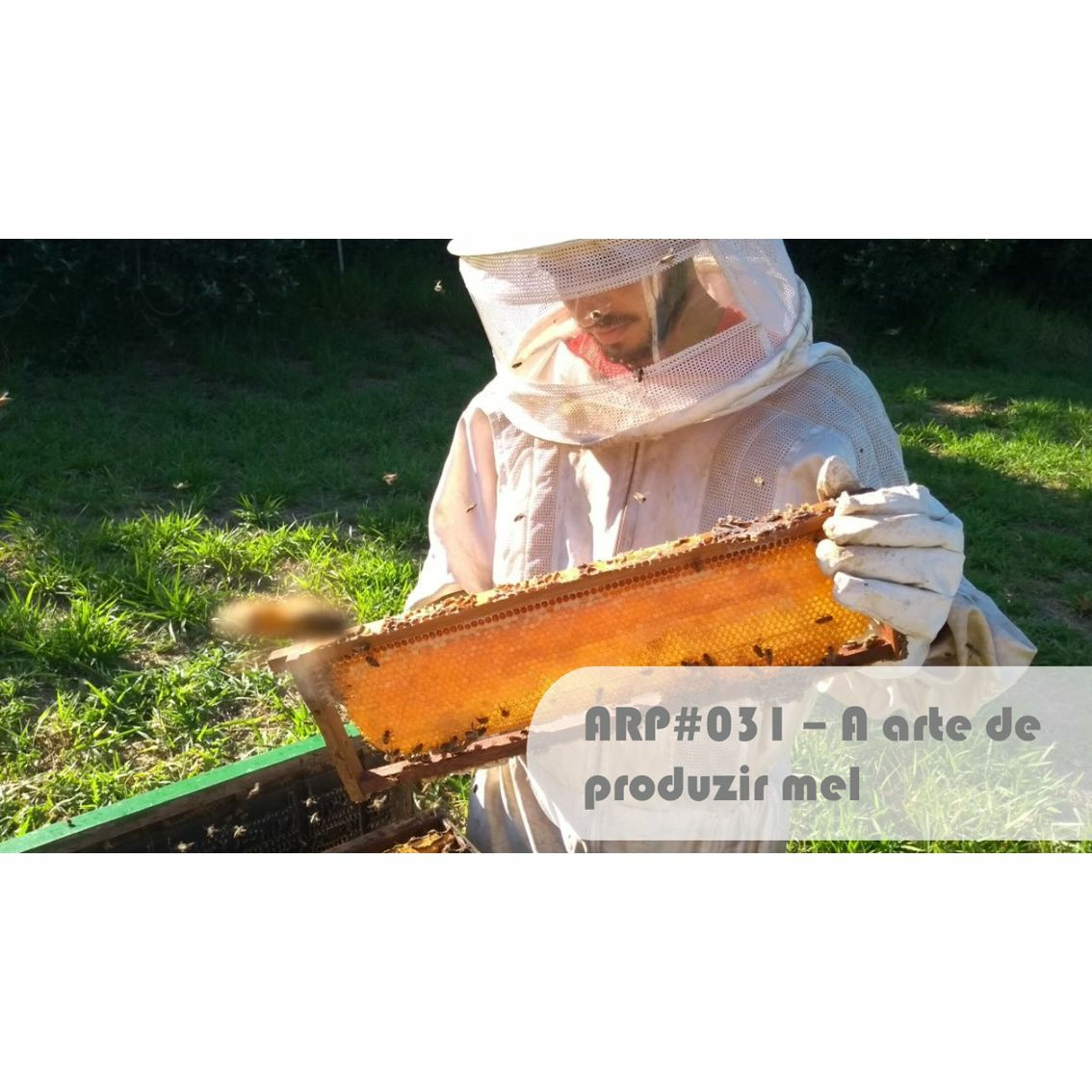 ARP#031 - A arte de produzir mel